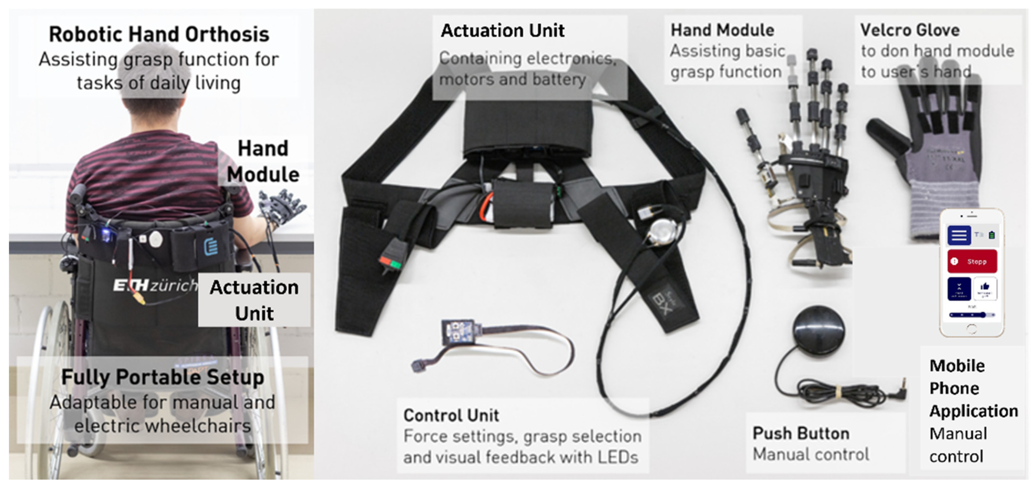Toxins 16 00346 g006