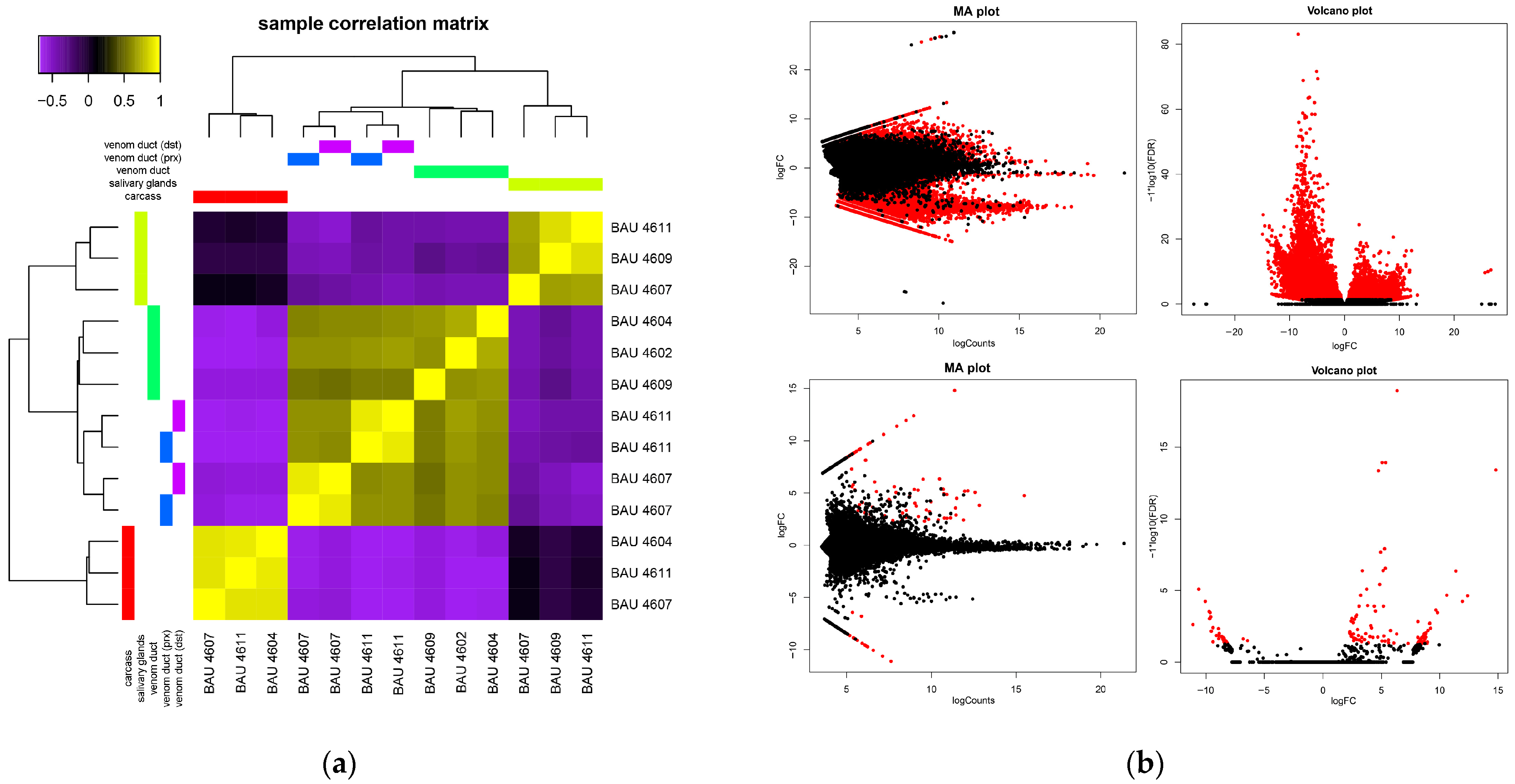 Toxins 16 00348 g001