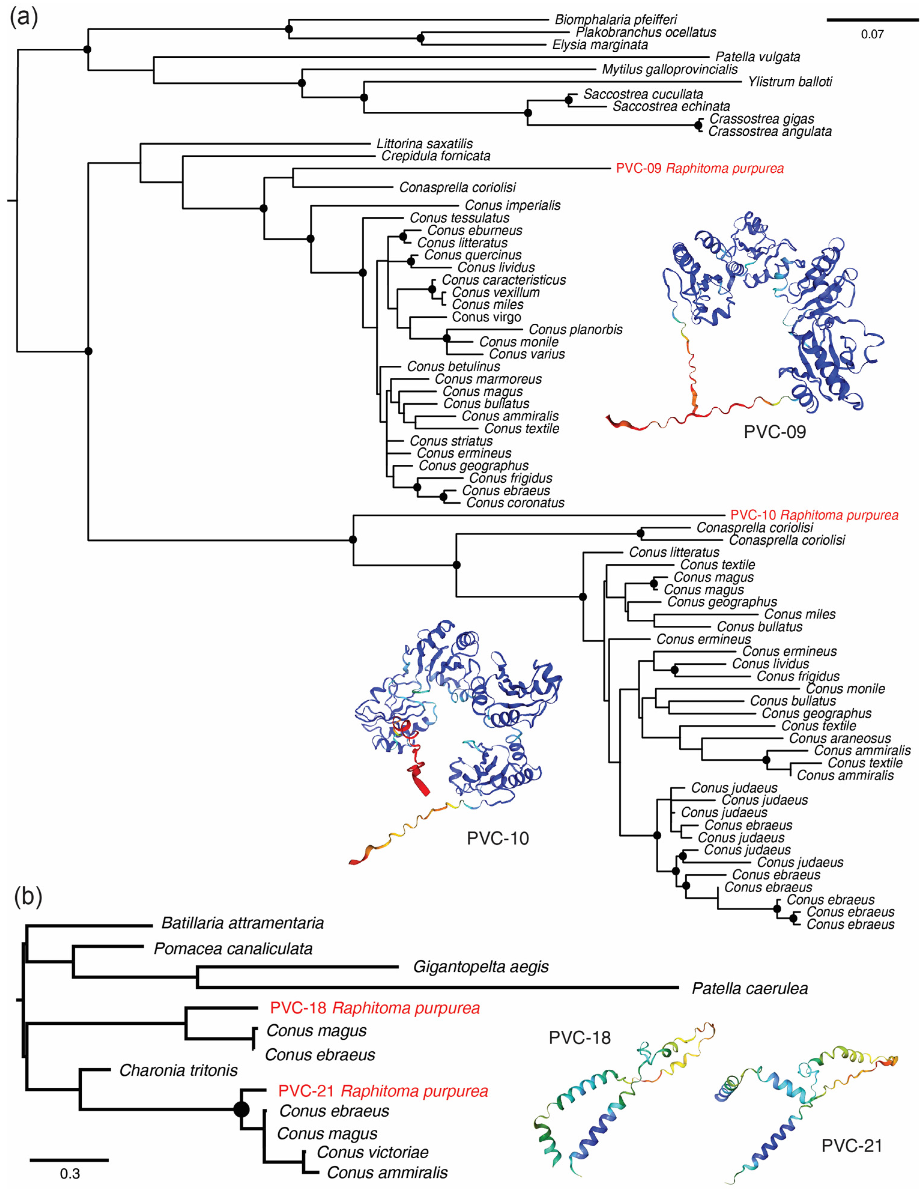 Toxins 16 00348 g003