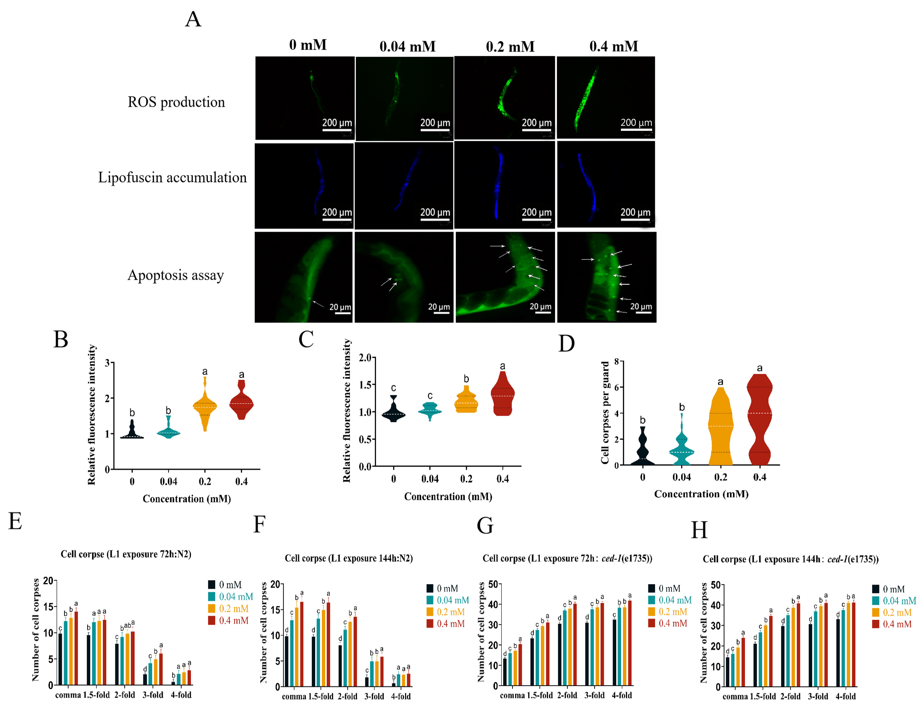 Toxins 16 00352 g002