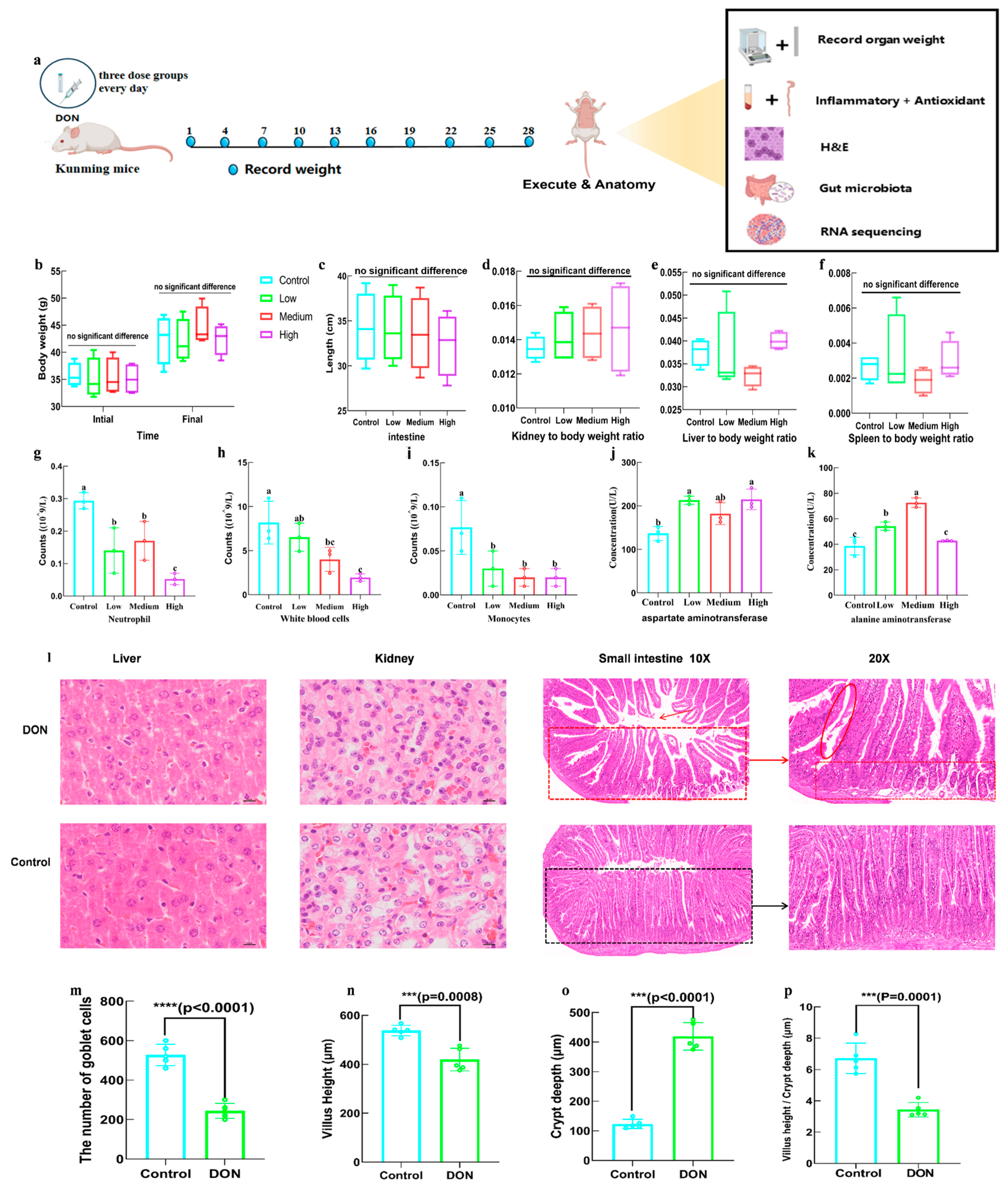 Toxins 16 00353 g004