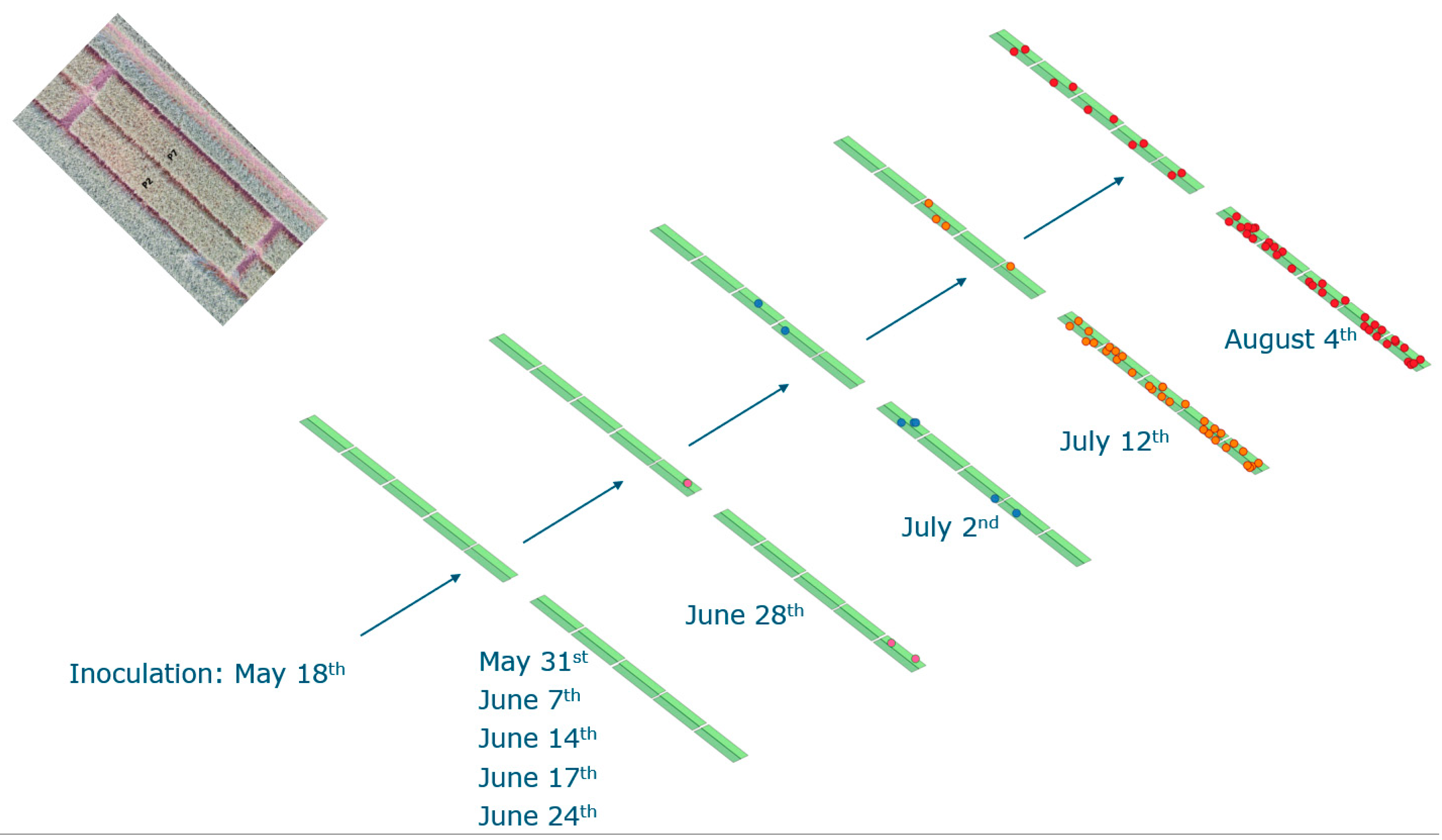 Toxins 16 00354 g0a2