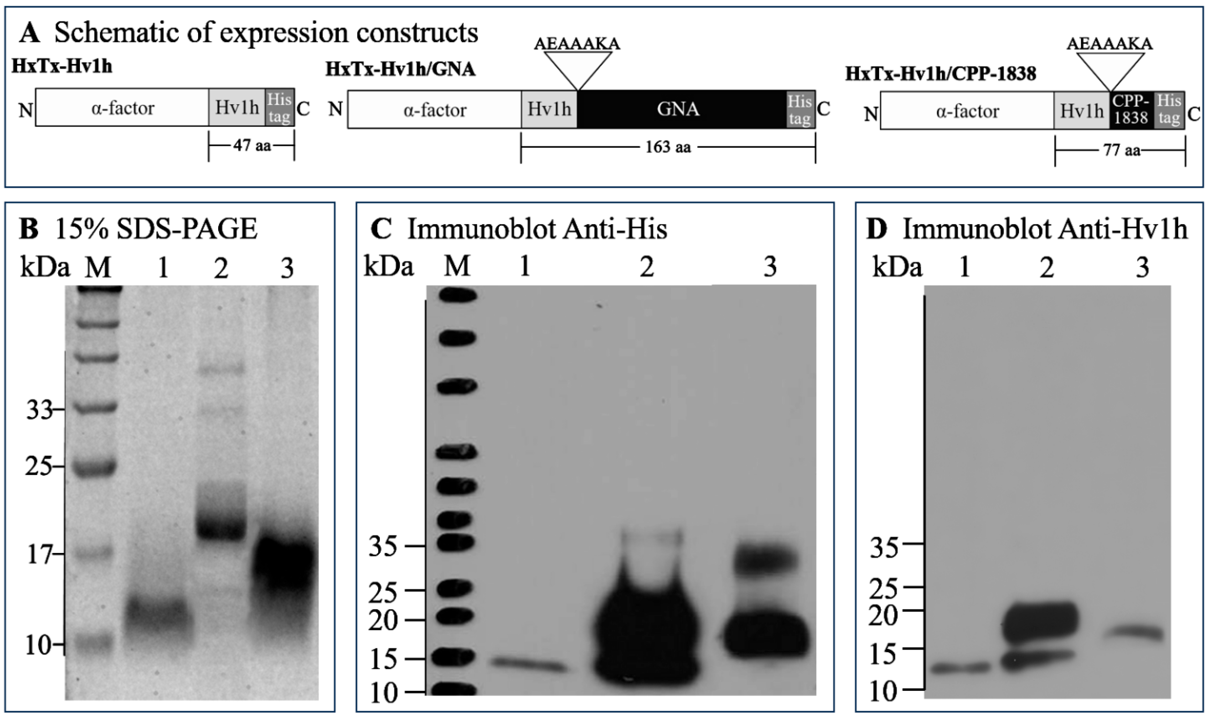 Toxins 16 00358 g001