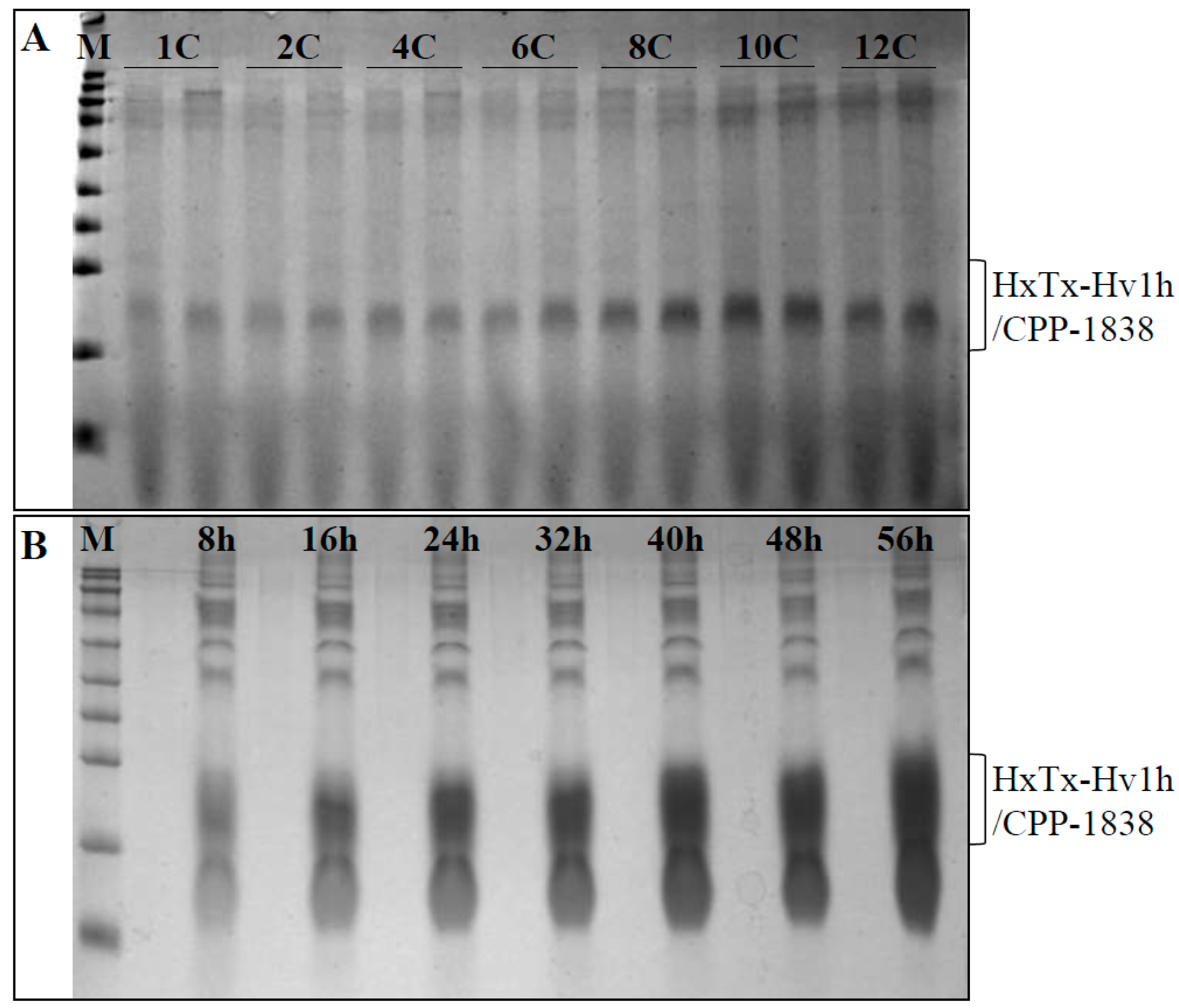Toxins 16 00358 g005