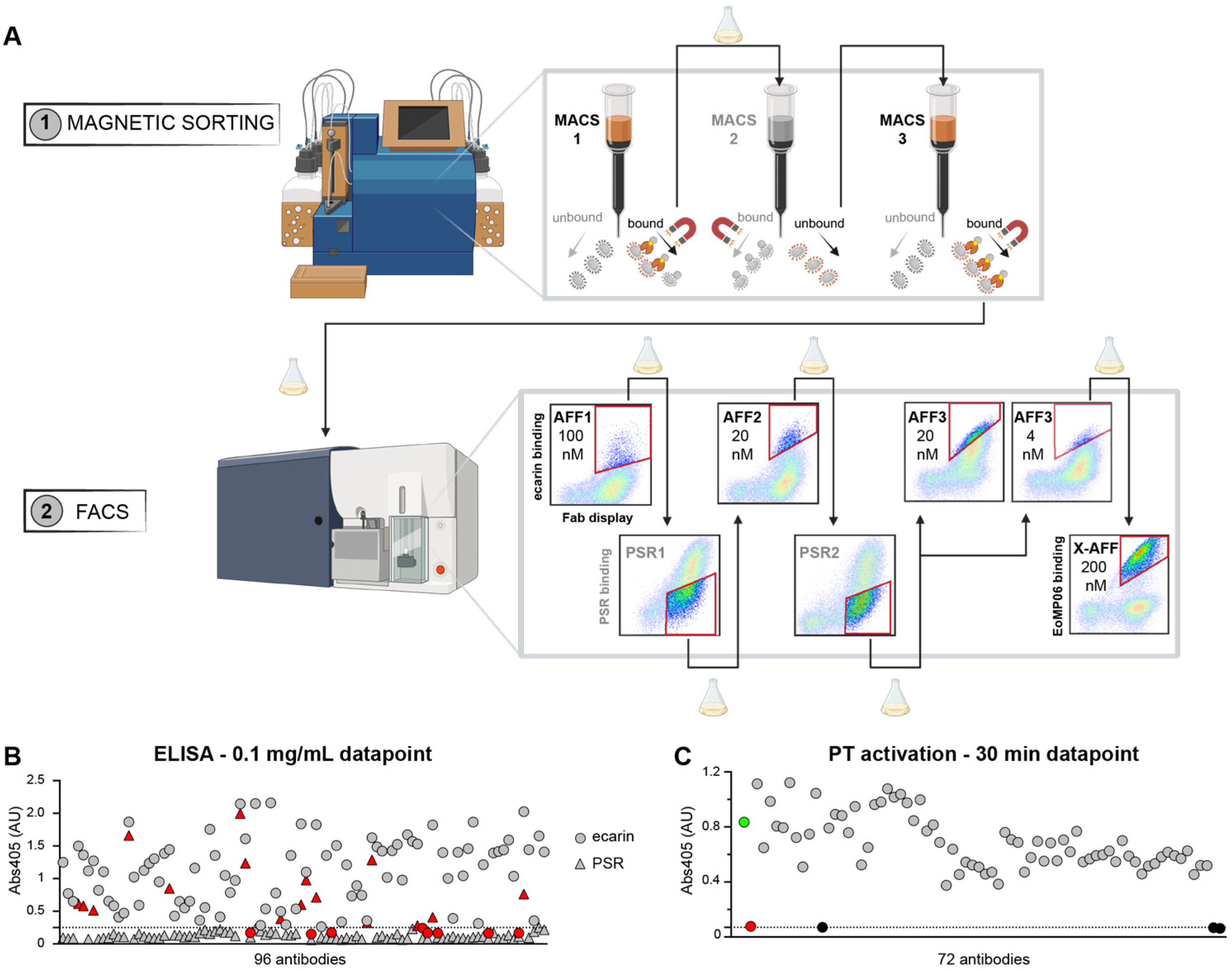 Toxins 16 00361 g001 Toxins 16 00361 g001
