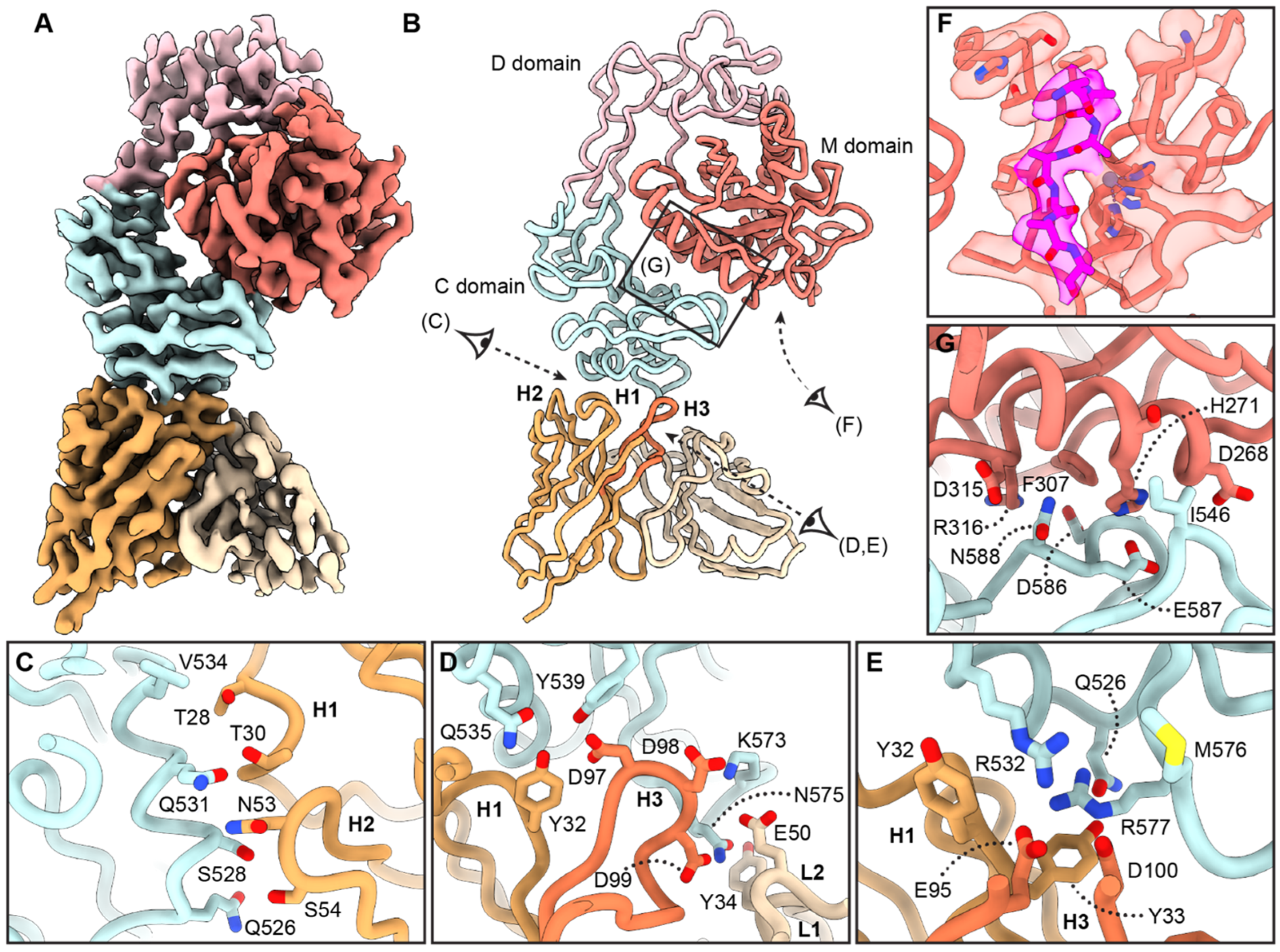 Toxins 16 00361 g005 Toxins 16 00361 g005
