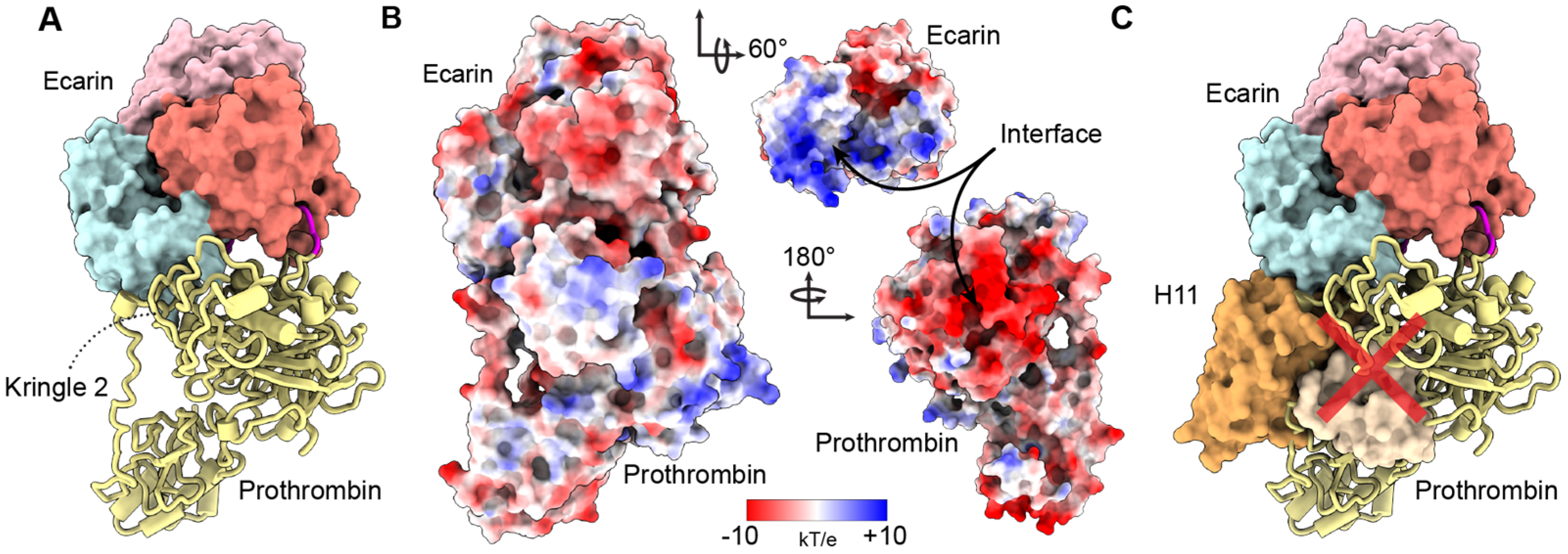 Toxins 16 00361 g006 Toxins 16 00361 g006