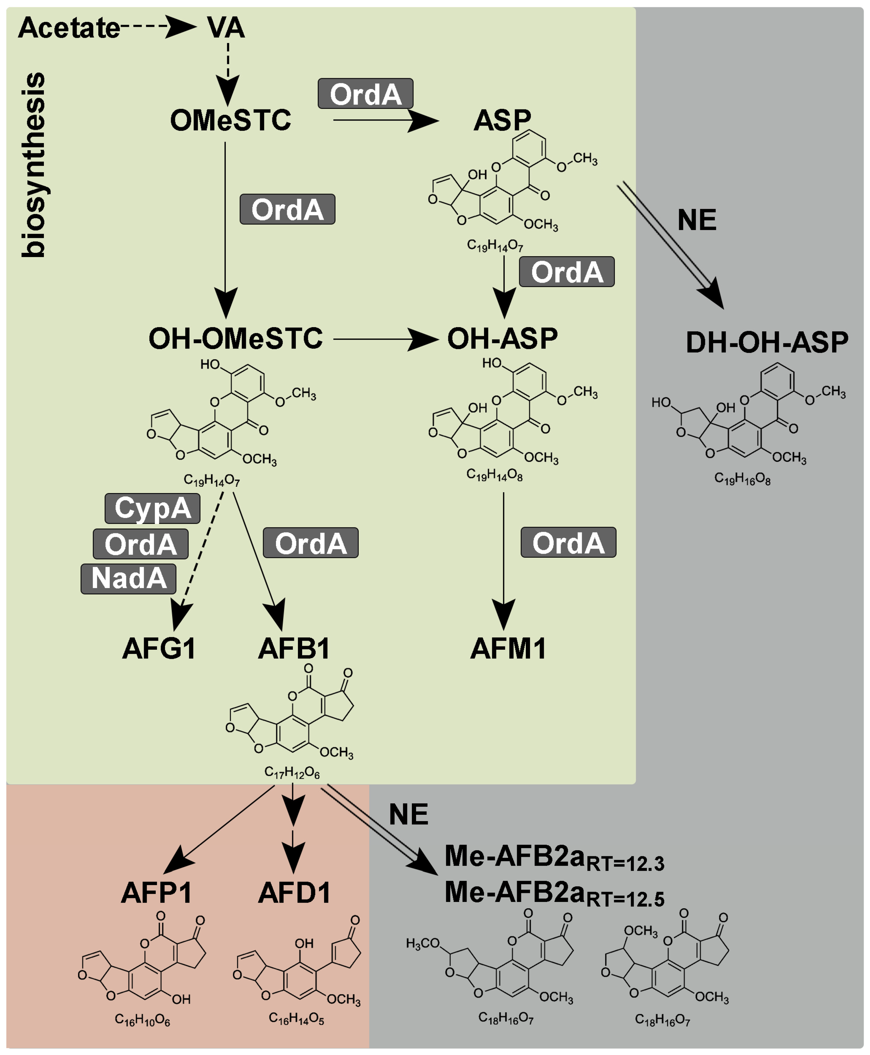 Toxins 16 00367 g002