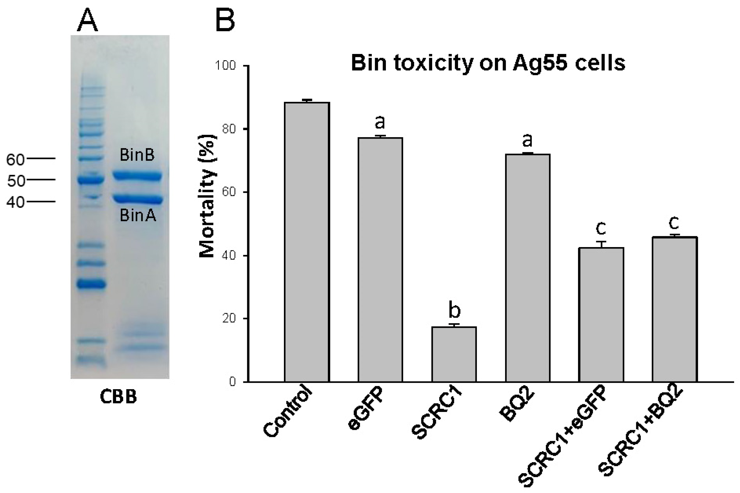 Toxins 16 00369 g003