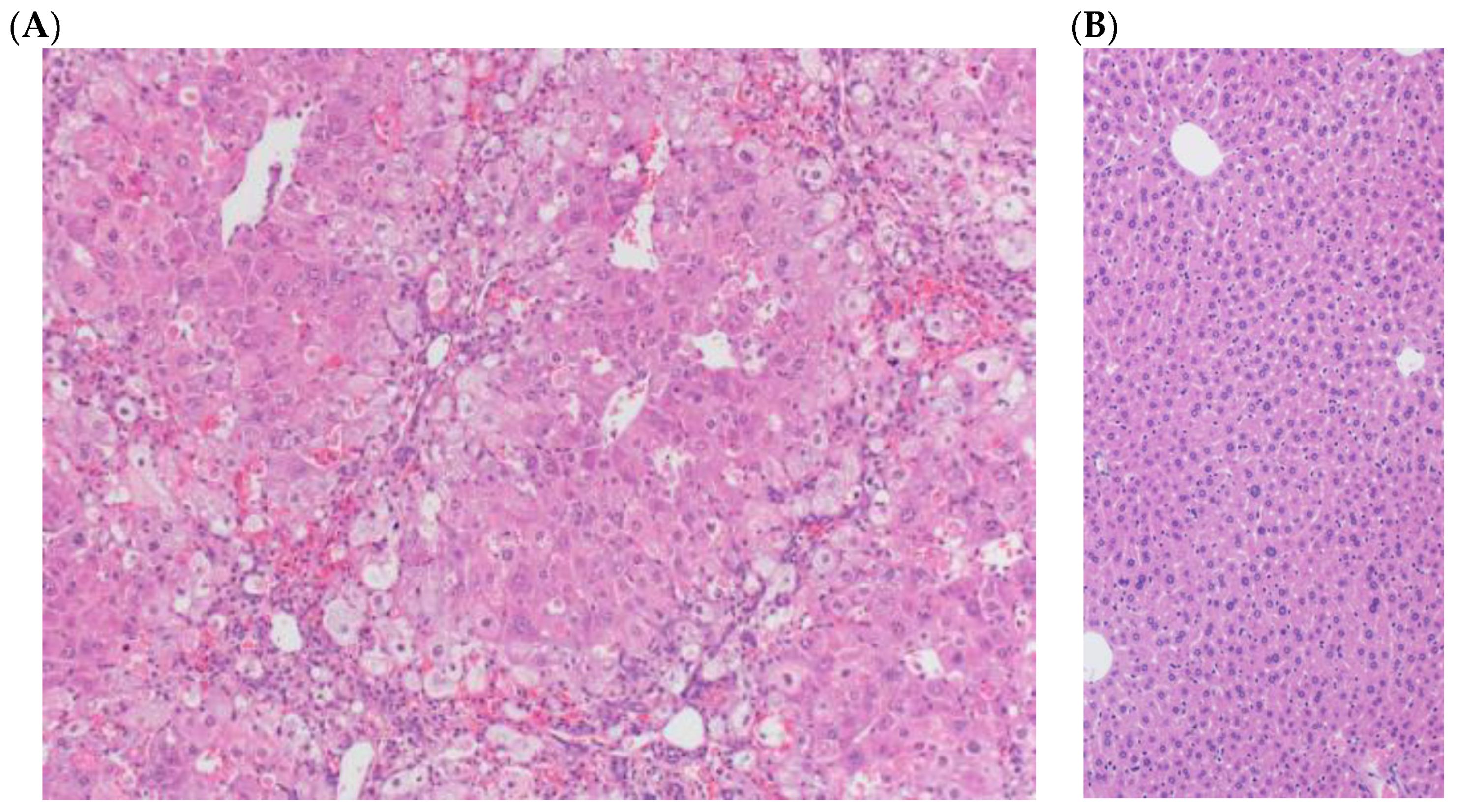 Toxins 16 00376 g003