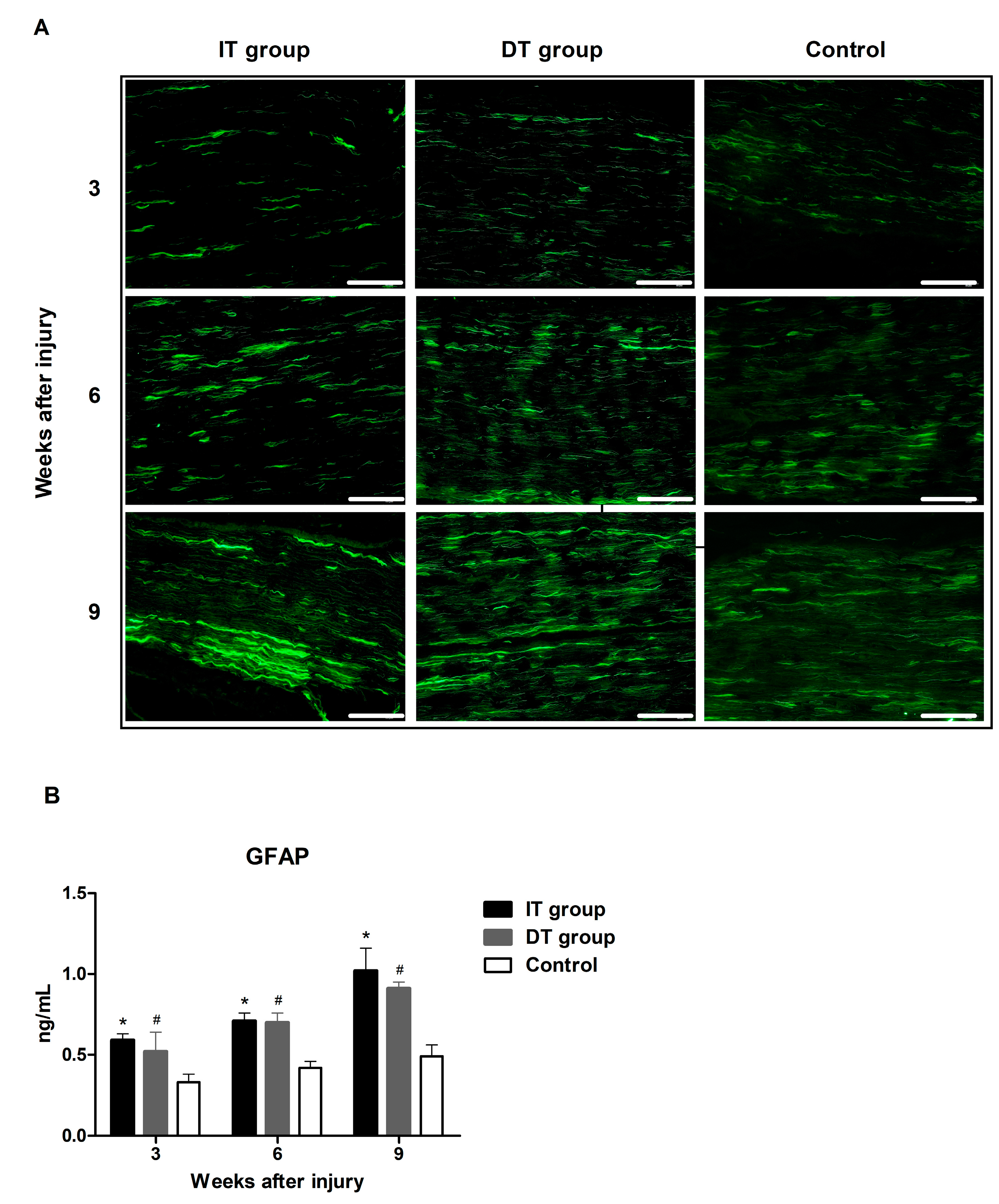 Toxins 16 00387 g001