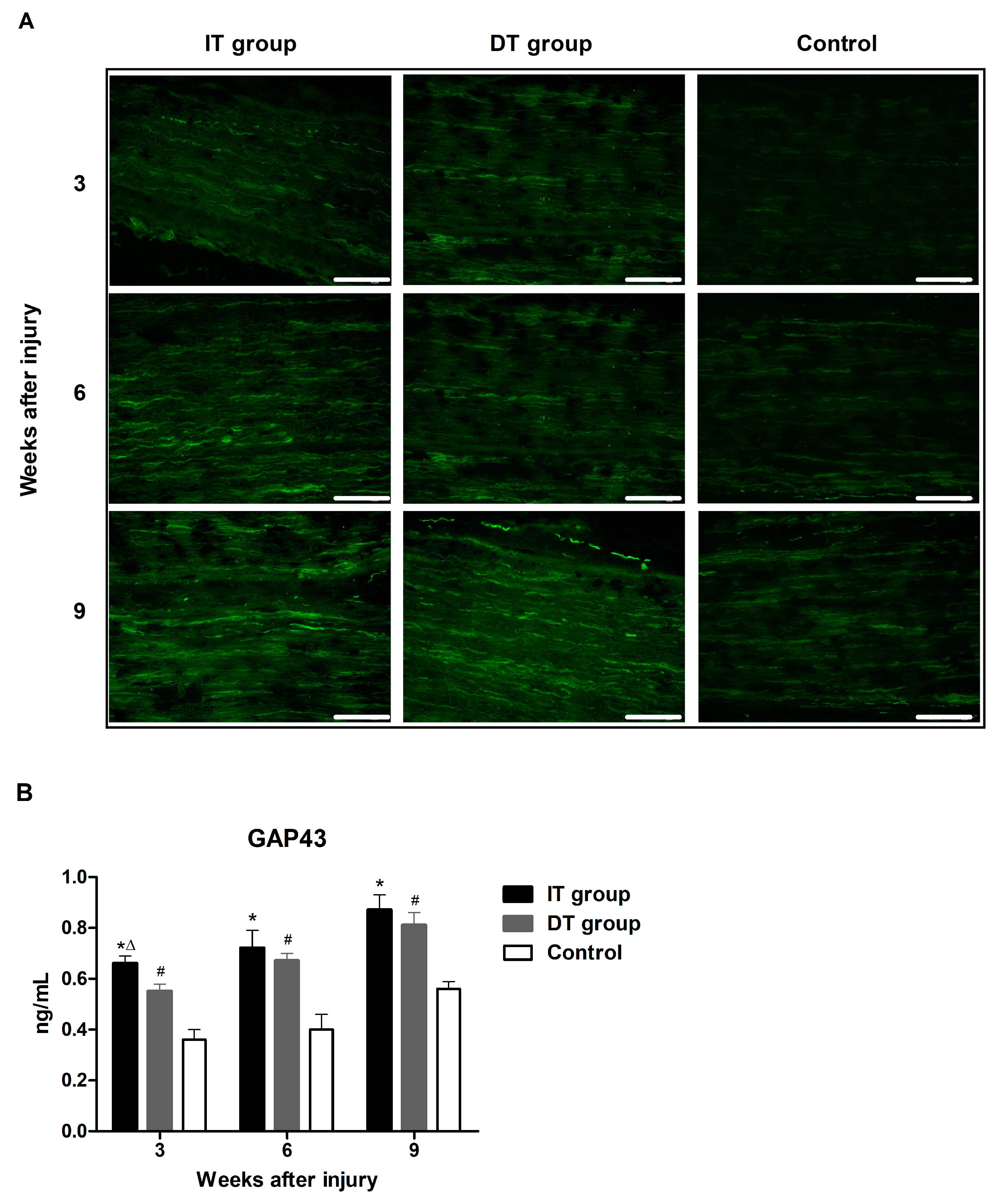 Toxins 16 00387 g003