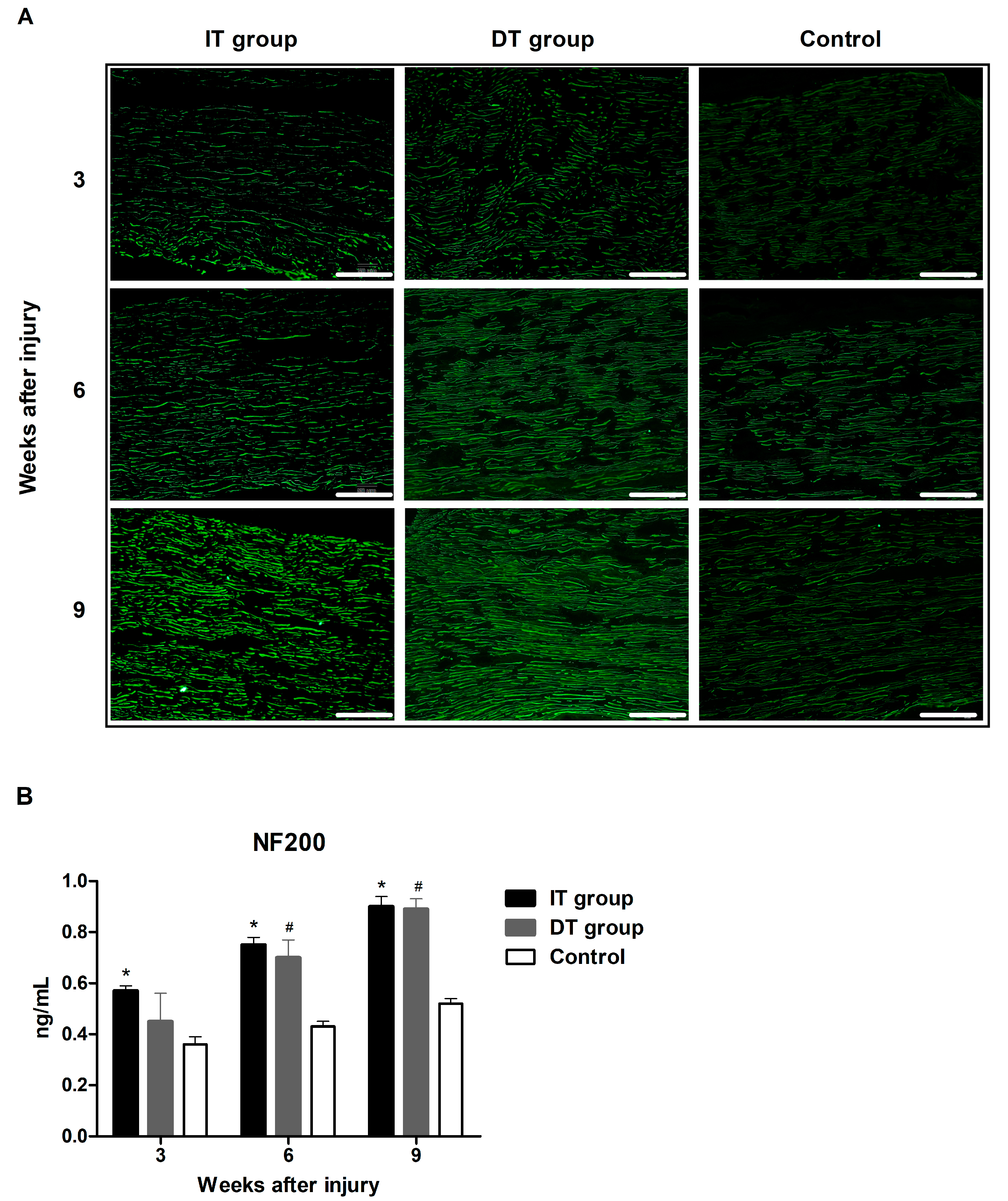Toxins 16 00387 g004