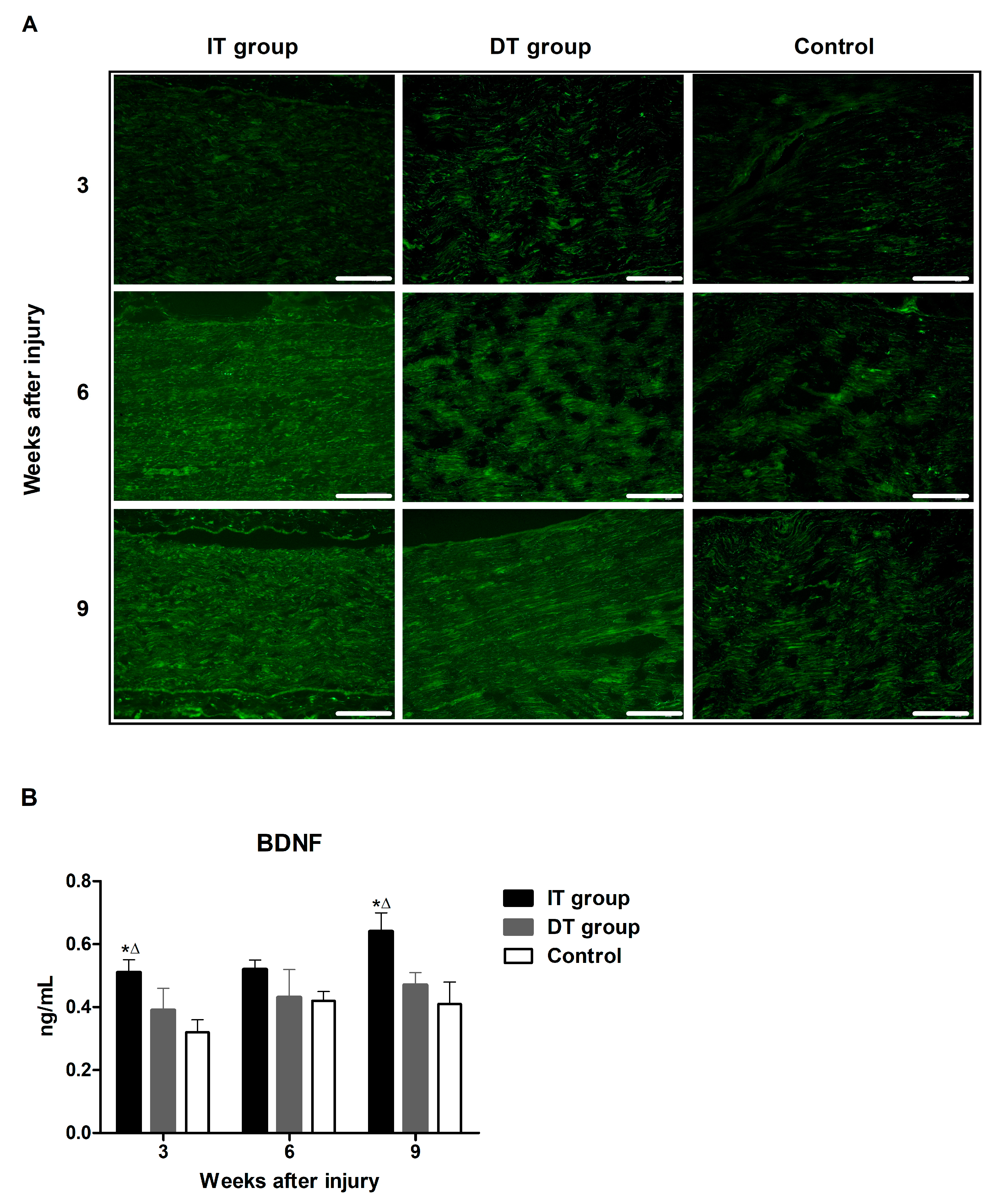Toxins 16 00387 g005