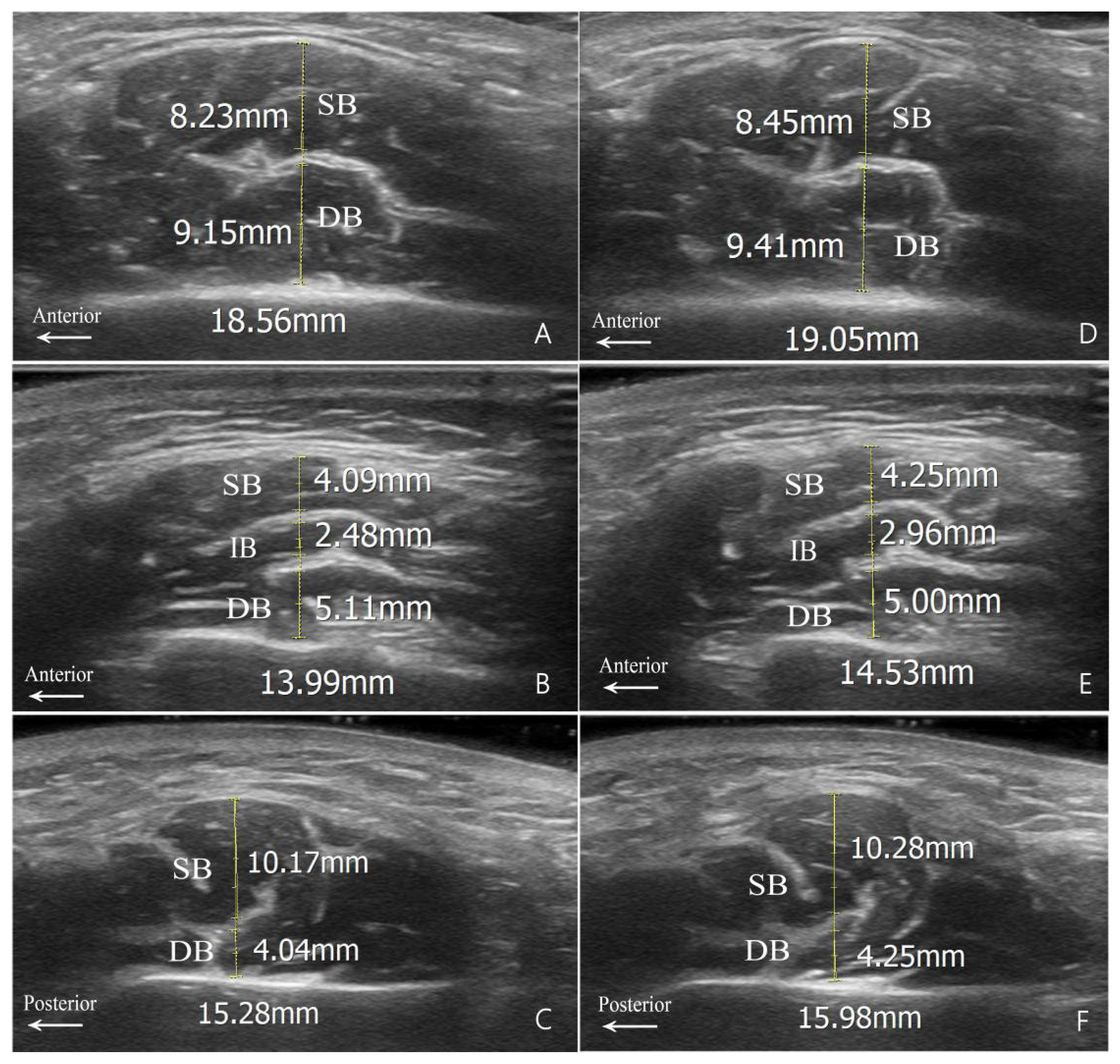 Toxins 16 00391 g002