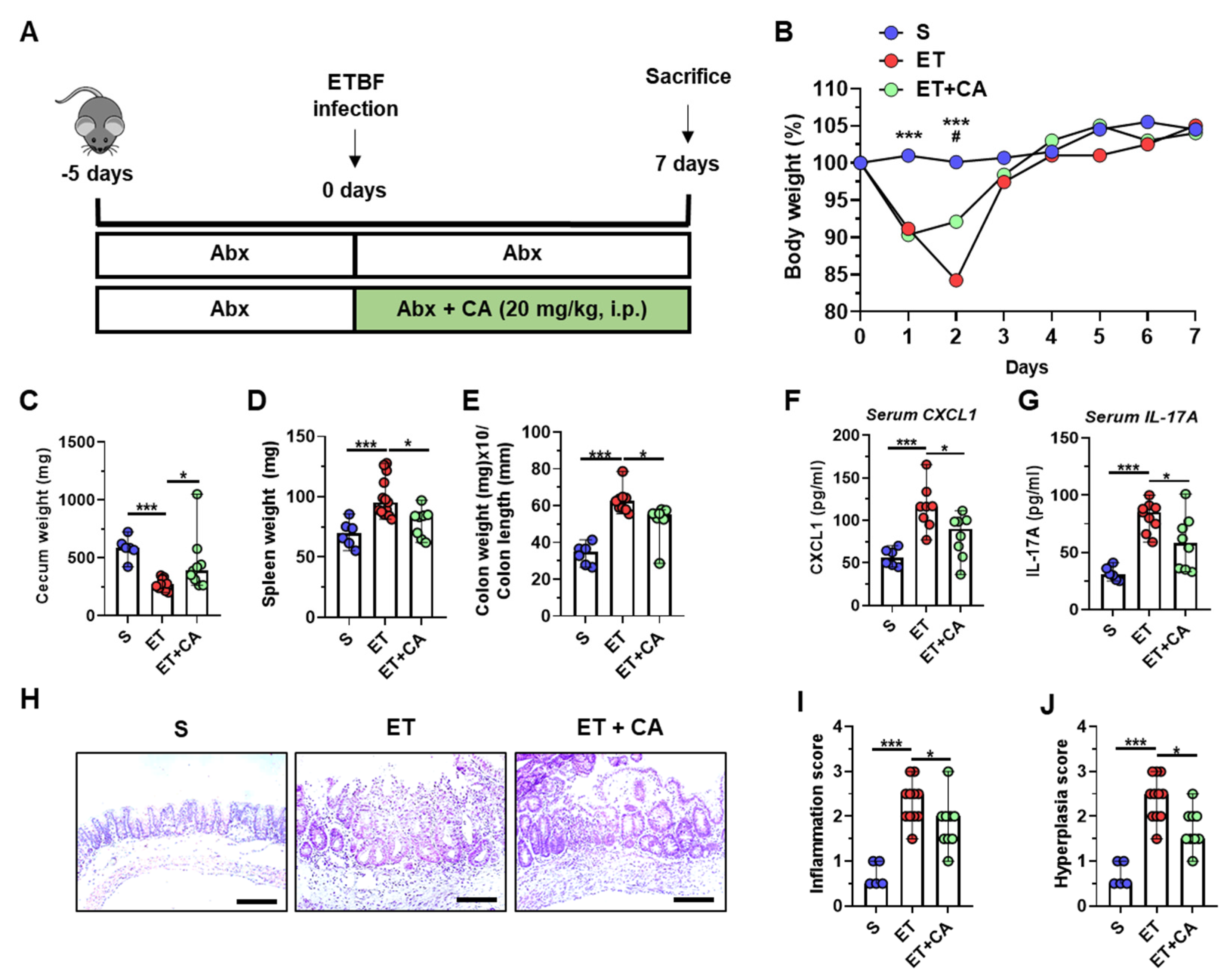 Toxins 16 00403 g001