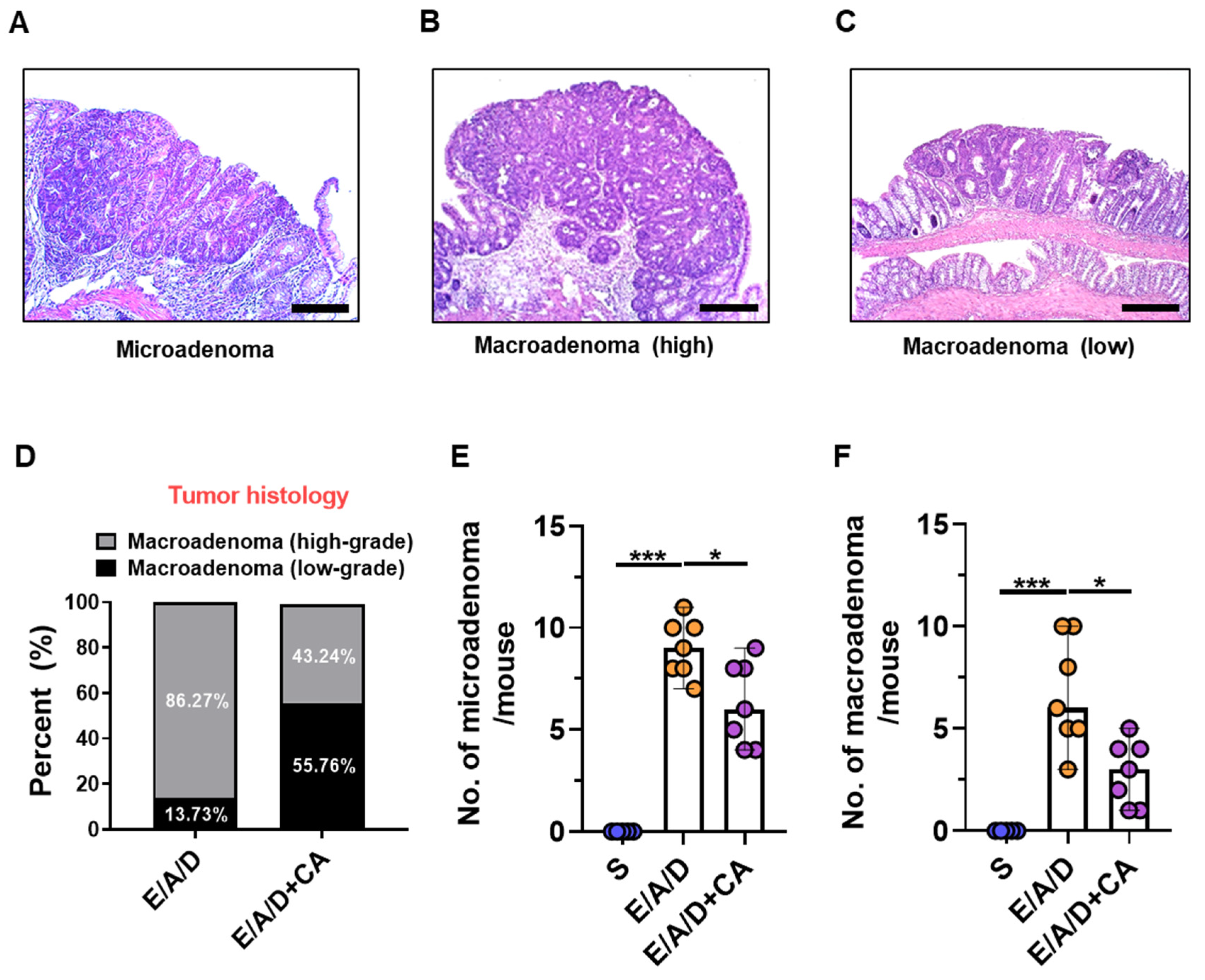 Toxins 16 00403 g003
