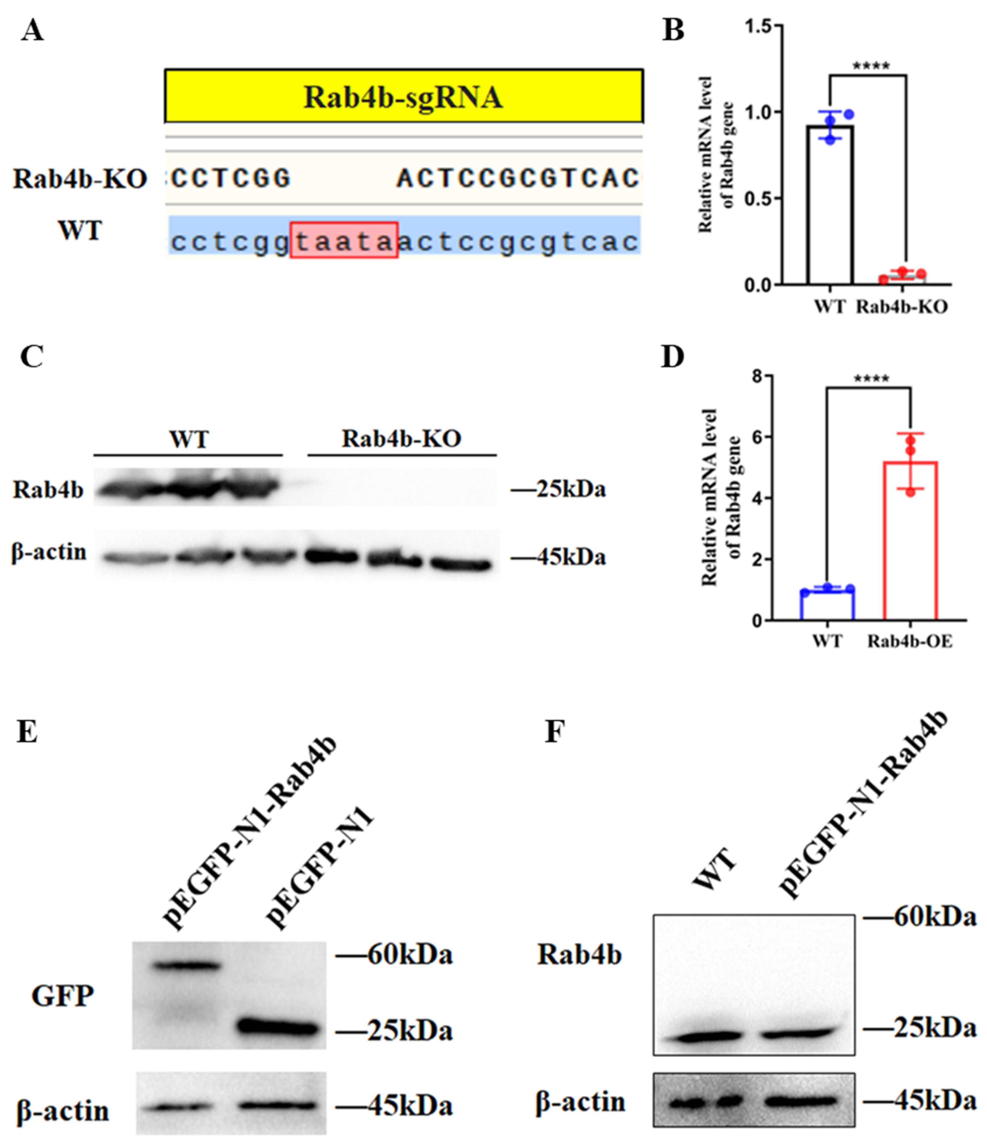 Toxins 16 00407 g001