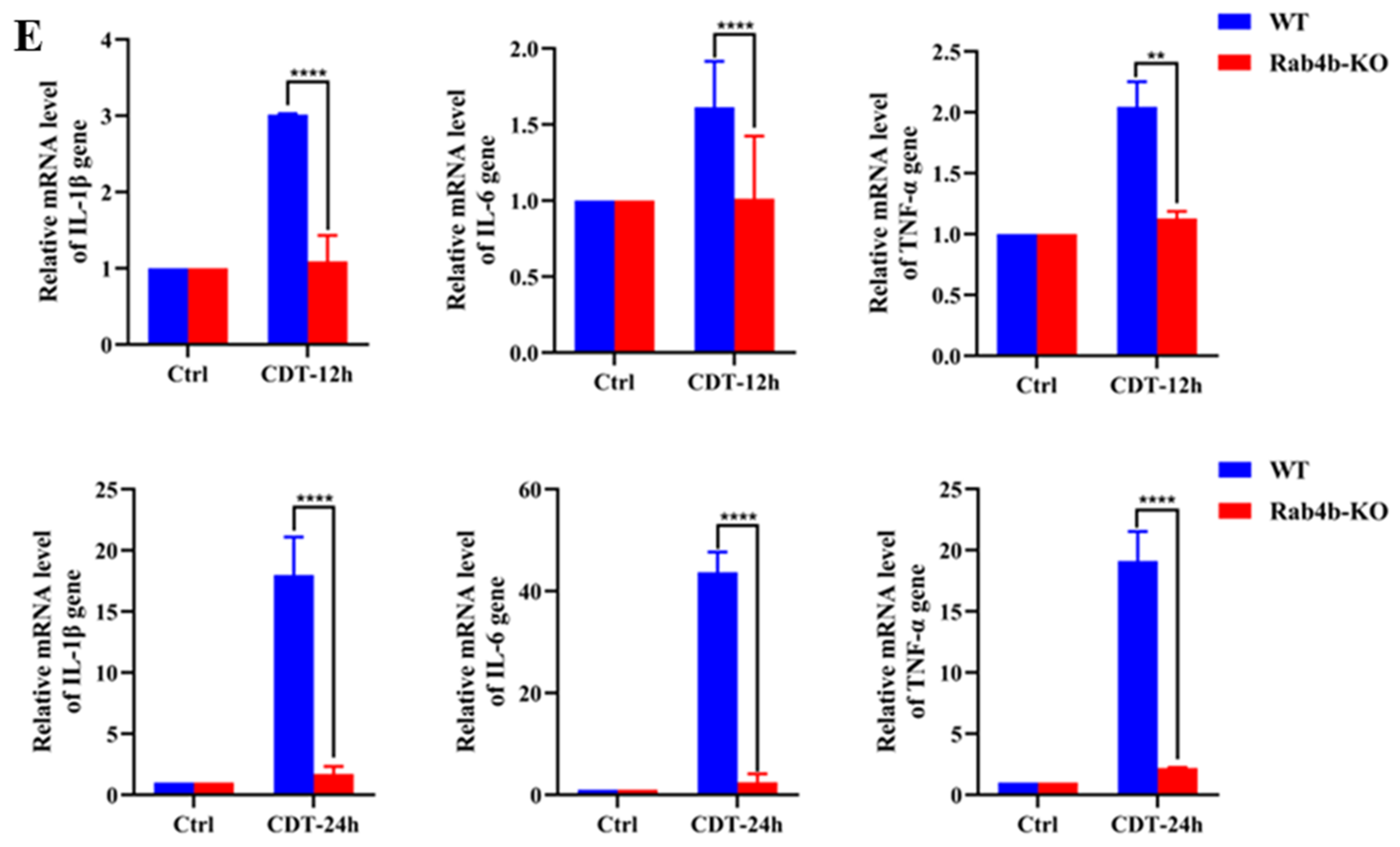 Toxins 16 00407 g002c