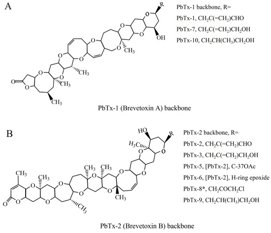 Brevetoxin Aptamer Selection and Biolayer Interferometry