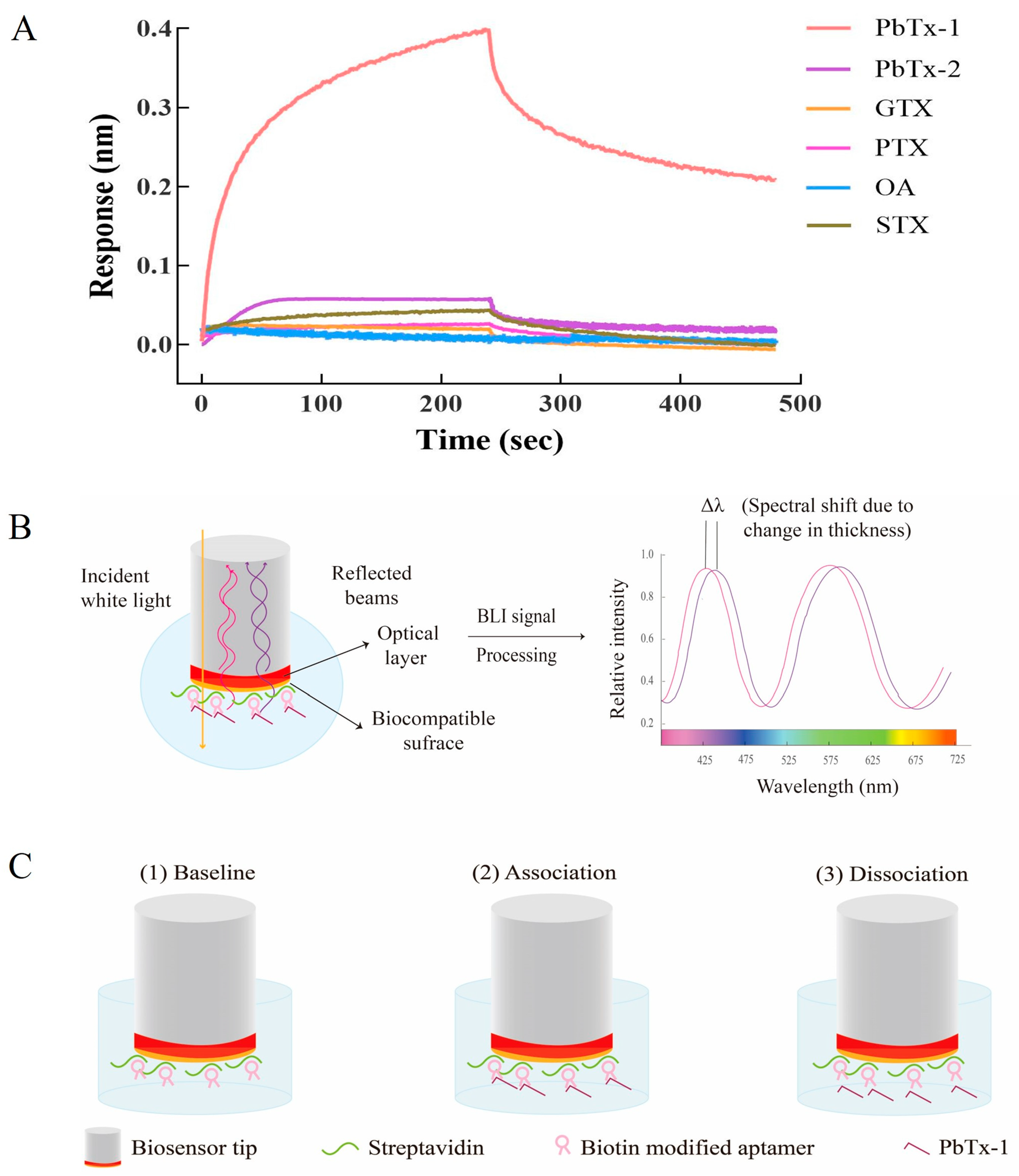 Toxins 16 00411 g005