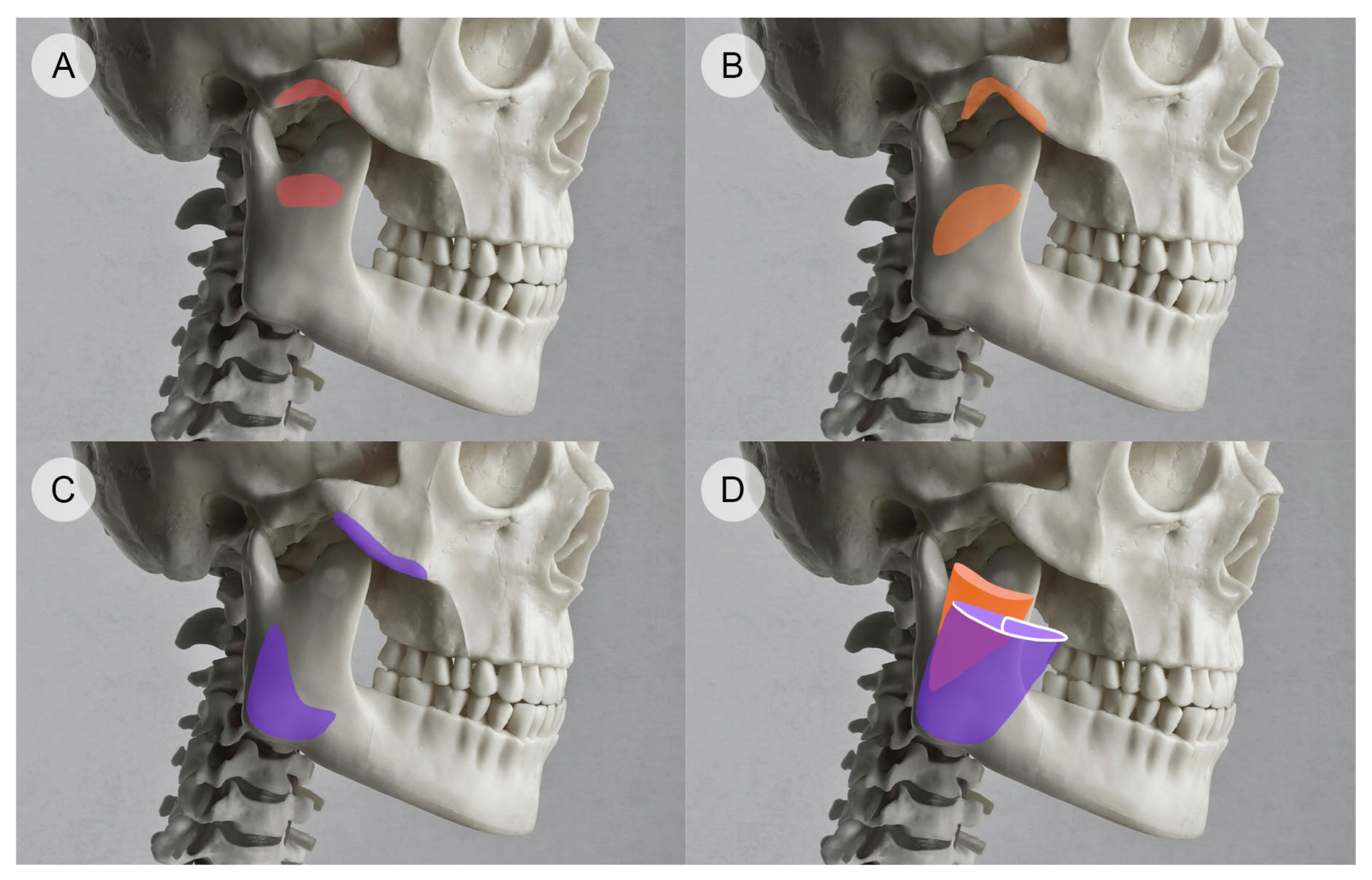 Toxins 16 00413 g001