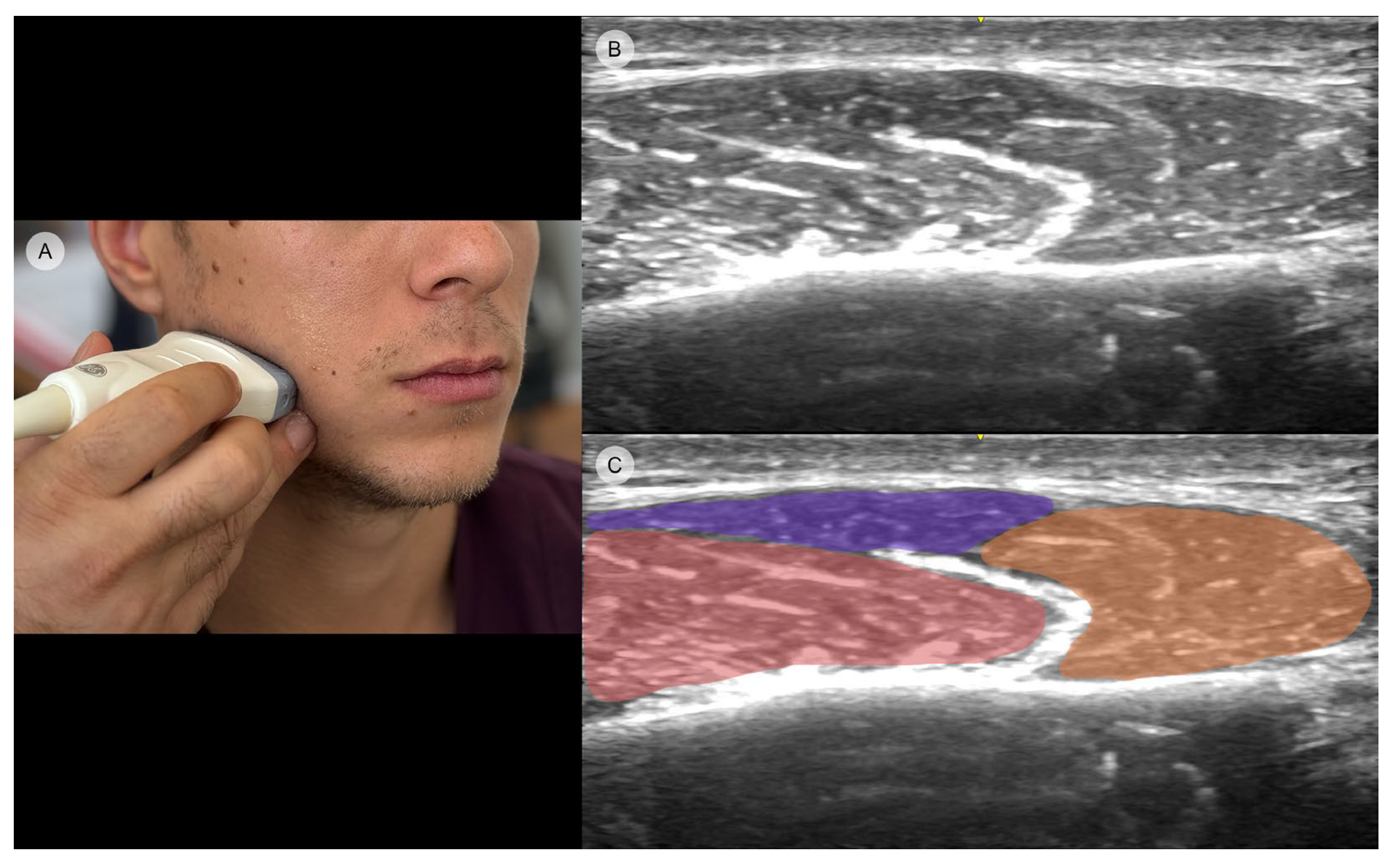 Toxins 16 00413 g003