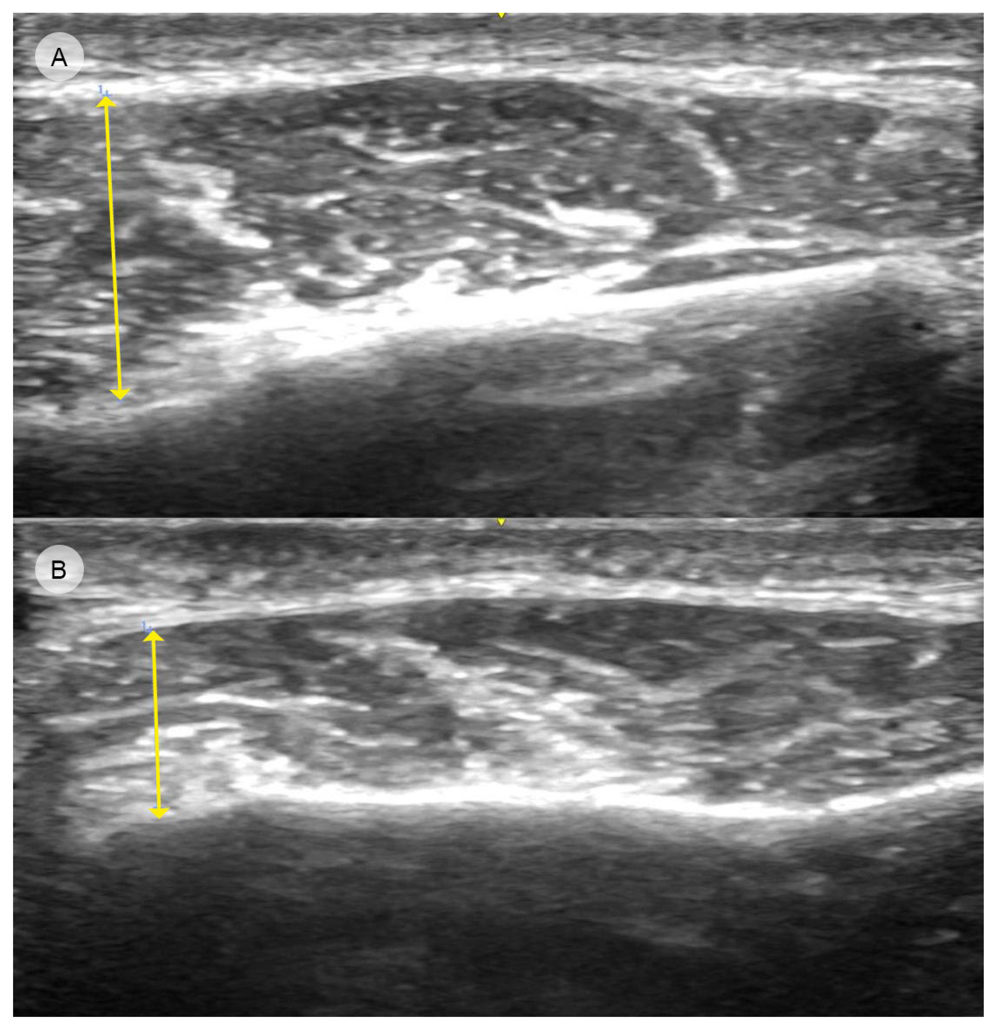 Toxins 16 00413 g004