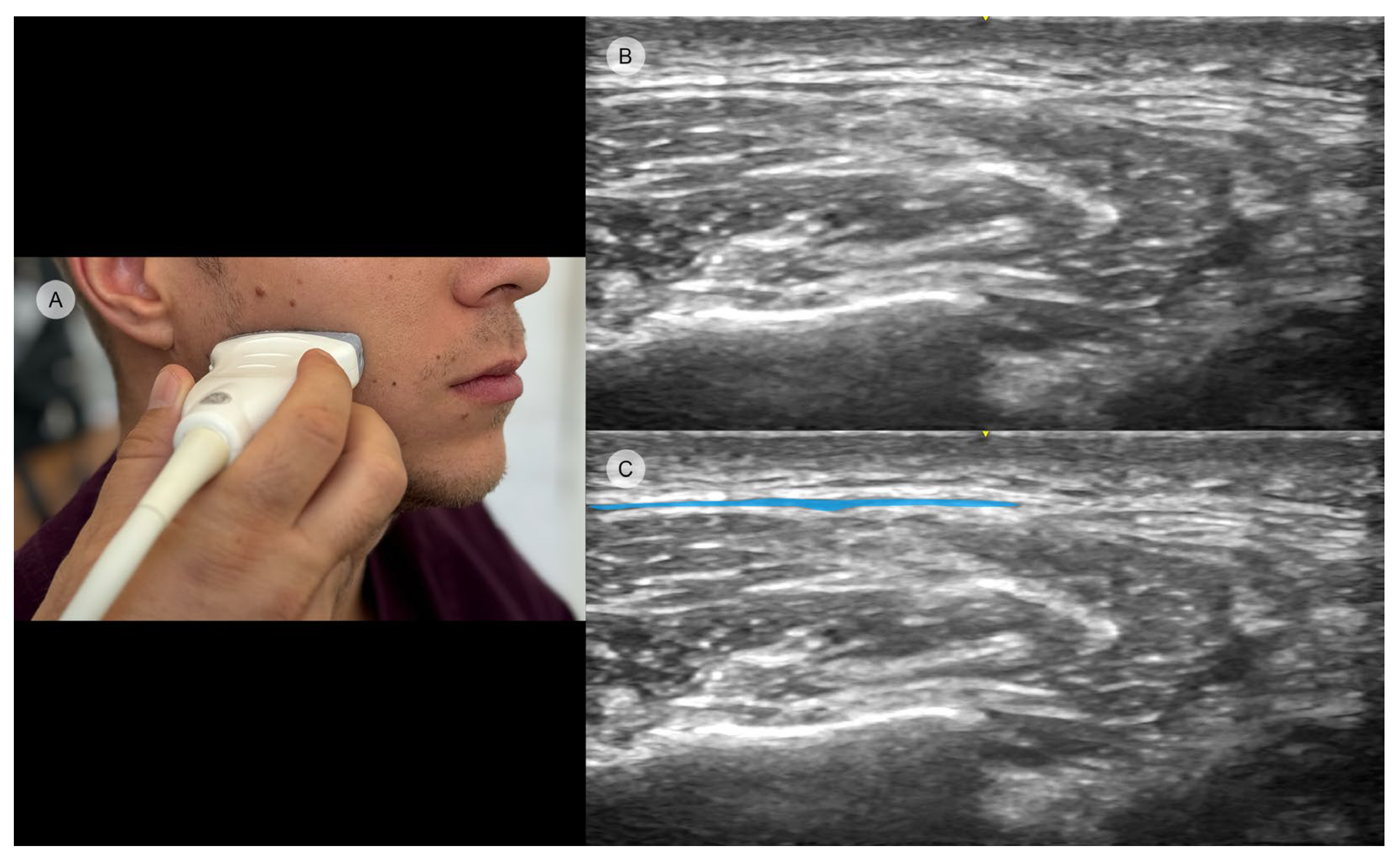 Toxins 16 00413 g006