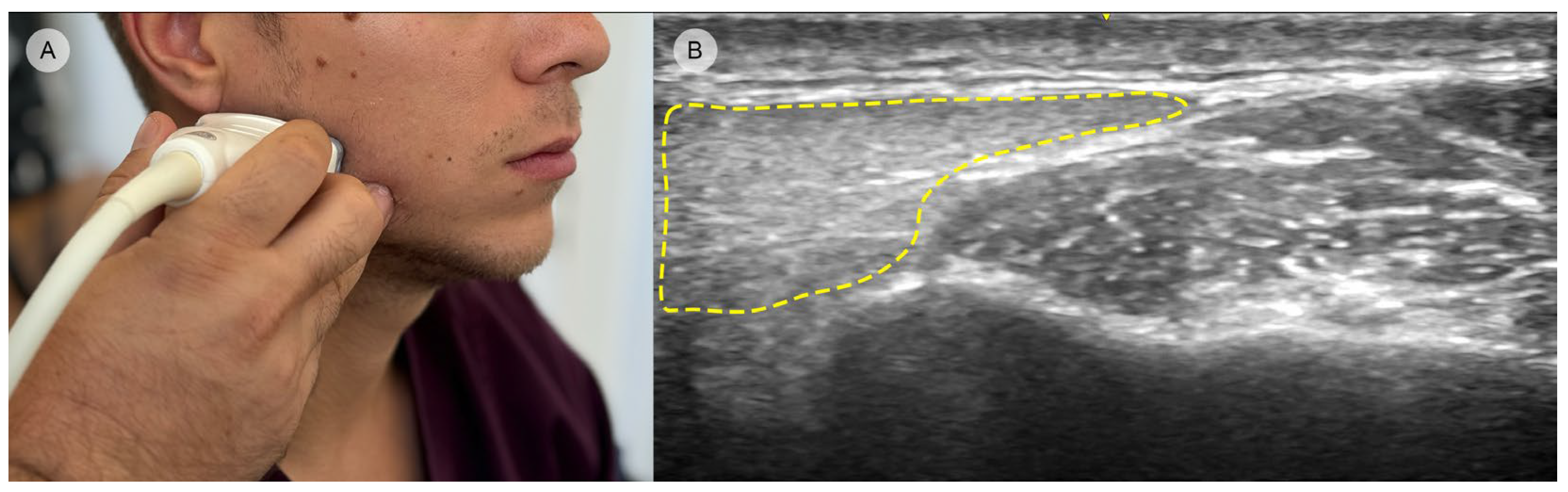 Toxins 16 00413 g008