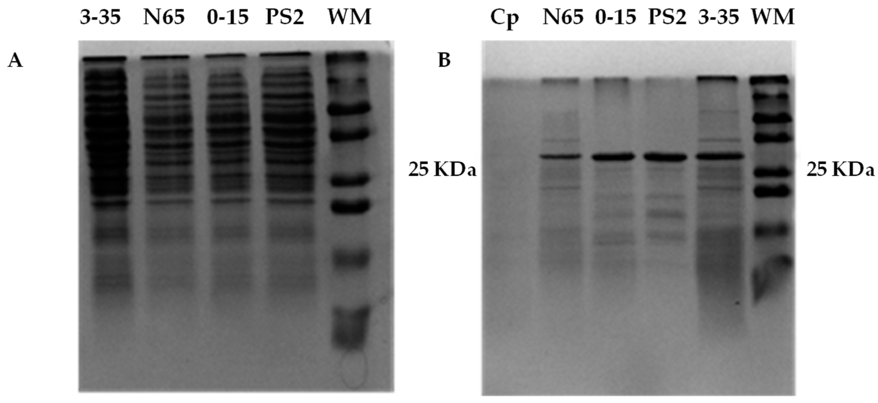 Toxins 16 00415 g001