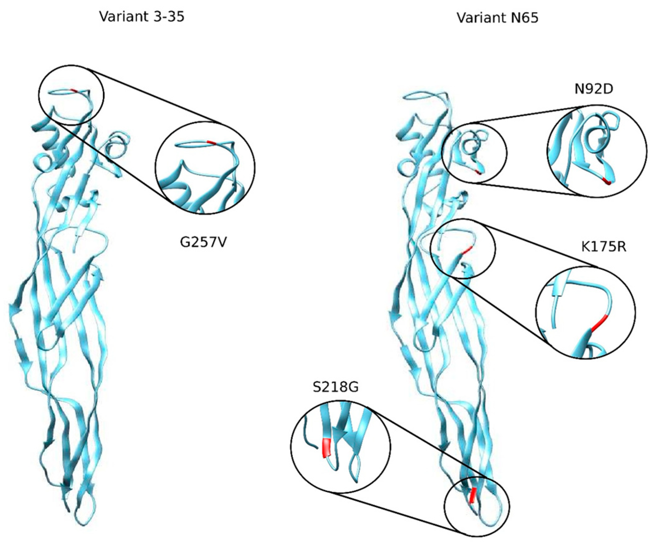 Toxins 16 00415 g010