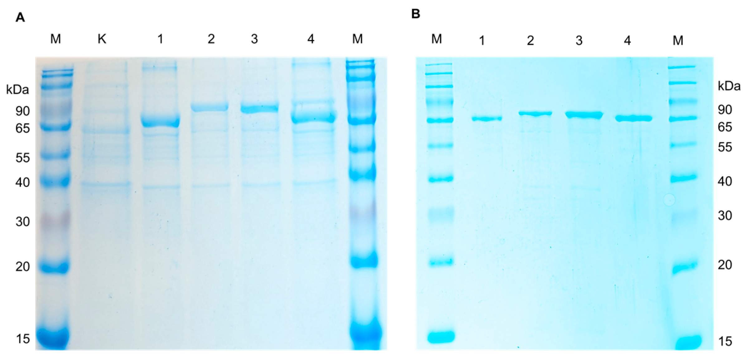 Toxins 16 00419 g002