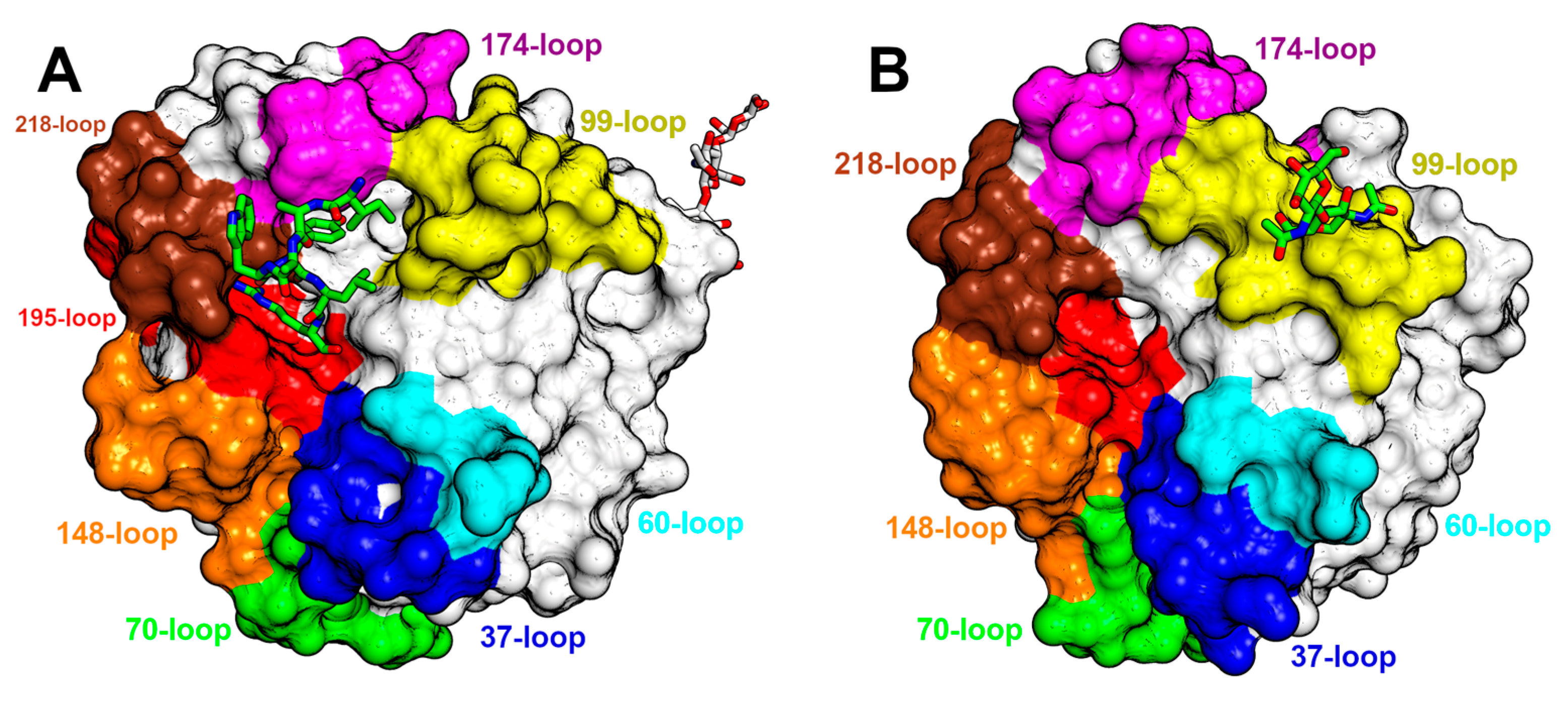 Toxins 16 00428 g007