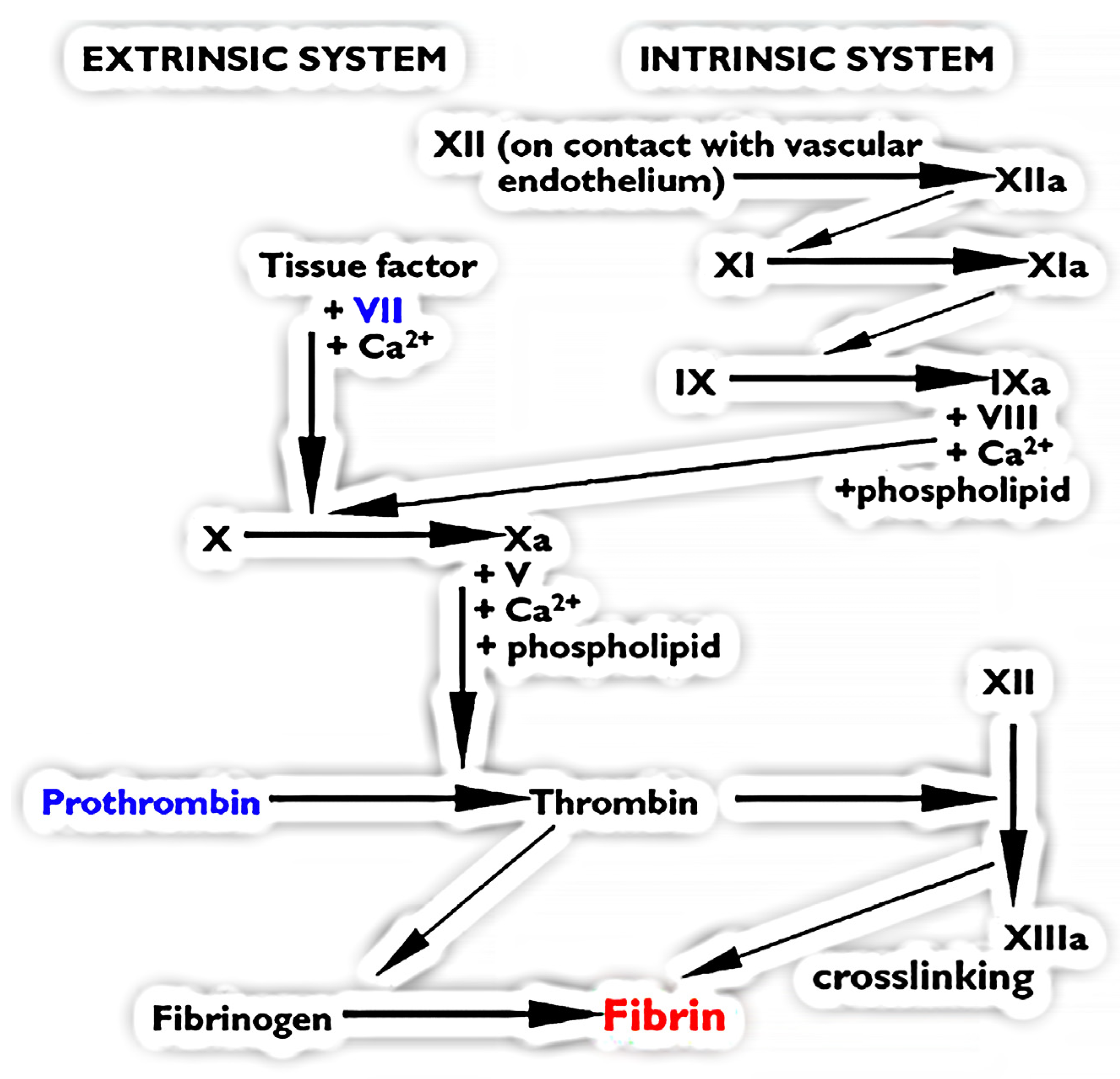 Toxins 16 00430 g001