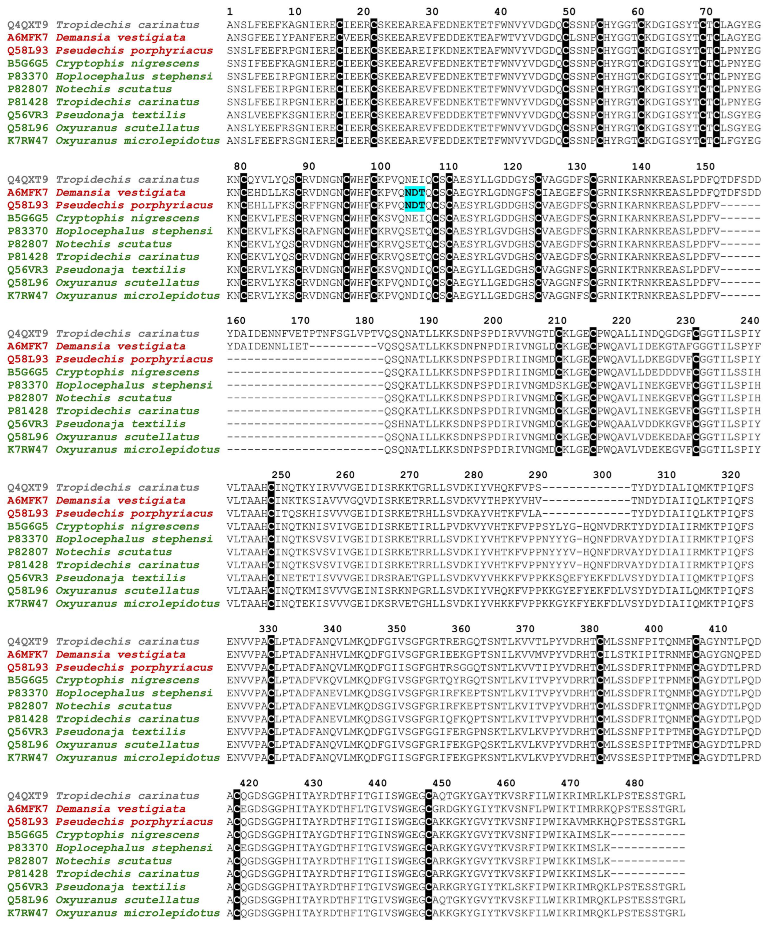 Toxins 16 00430 g006