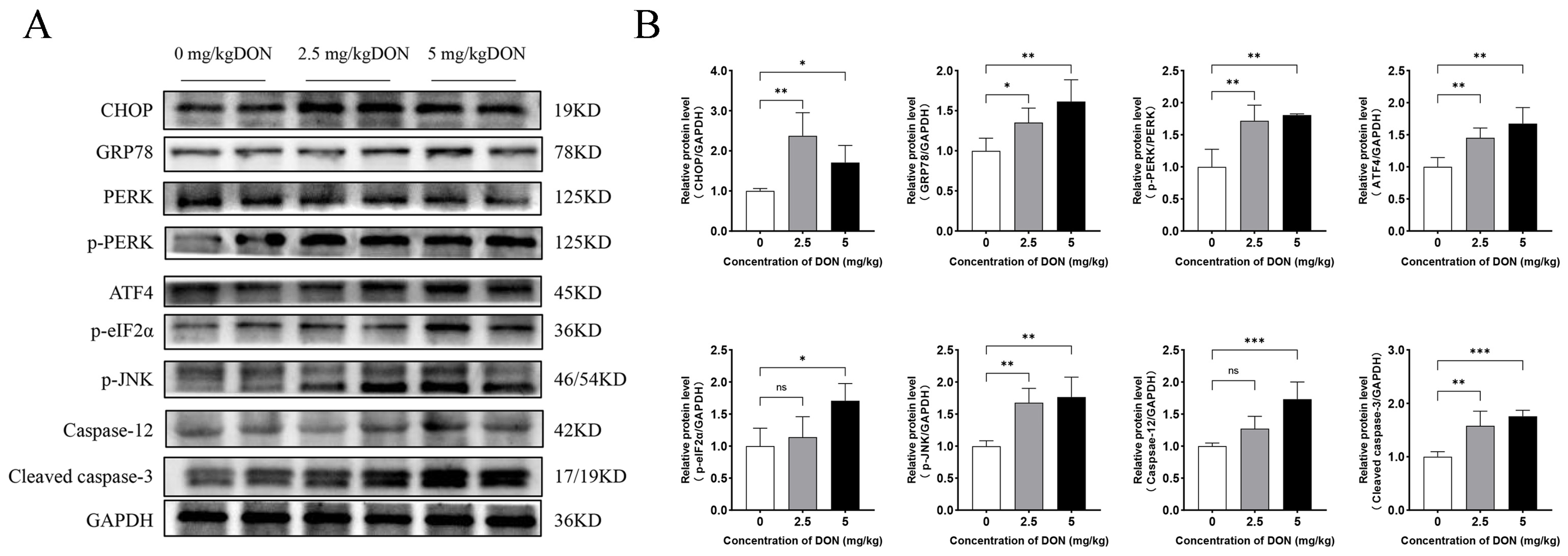 Toxins 16 00432 g003
