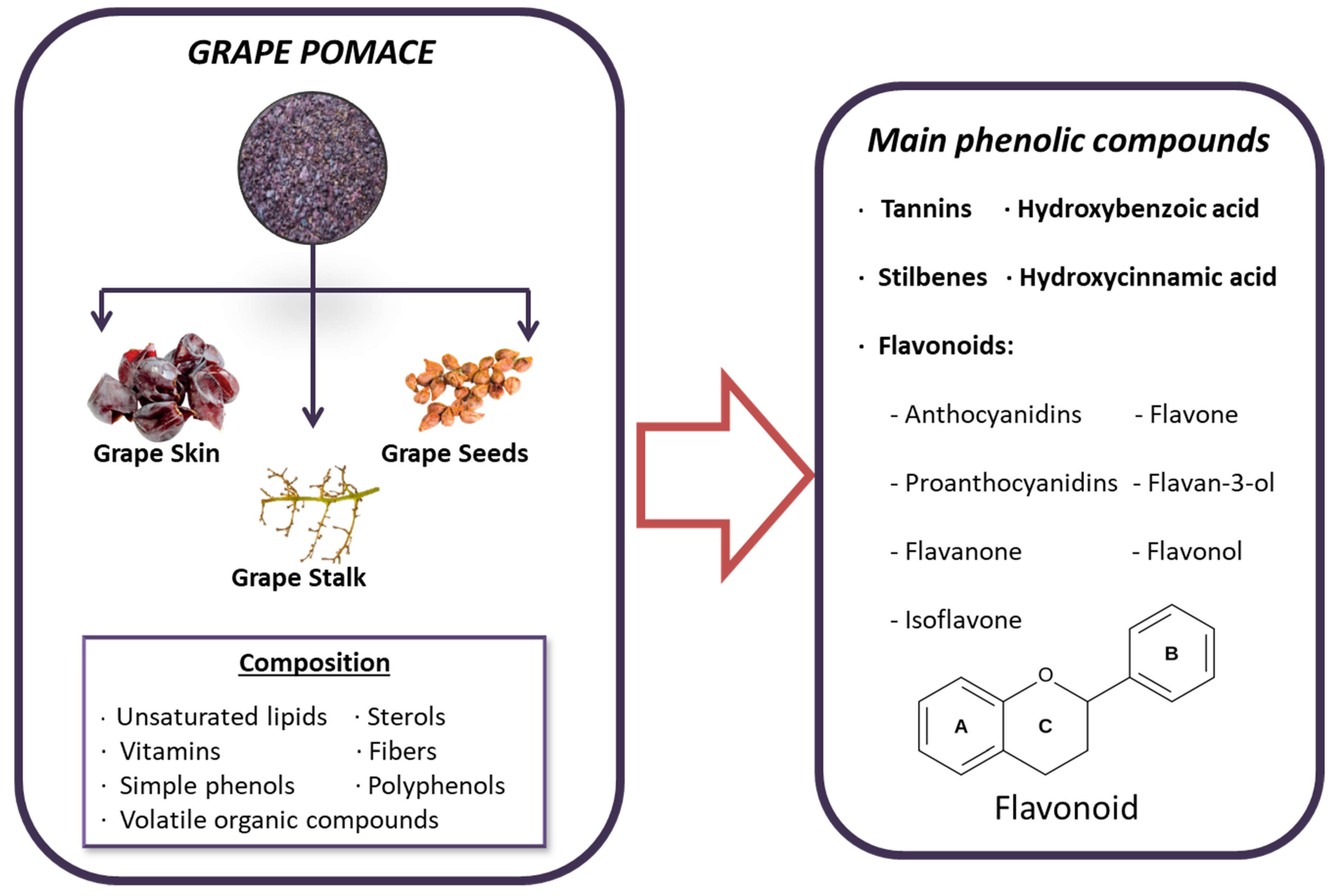 Toxins 16 00434 g003 Toxins 16 00434 g003