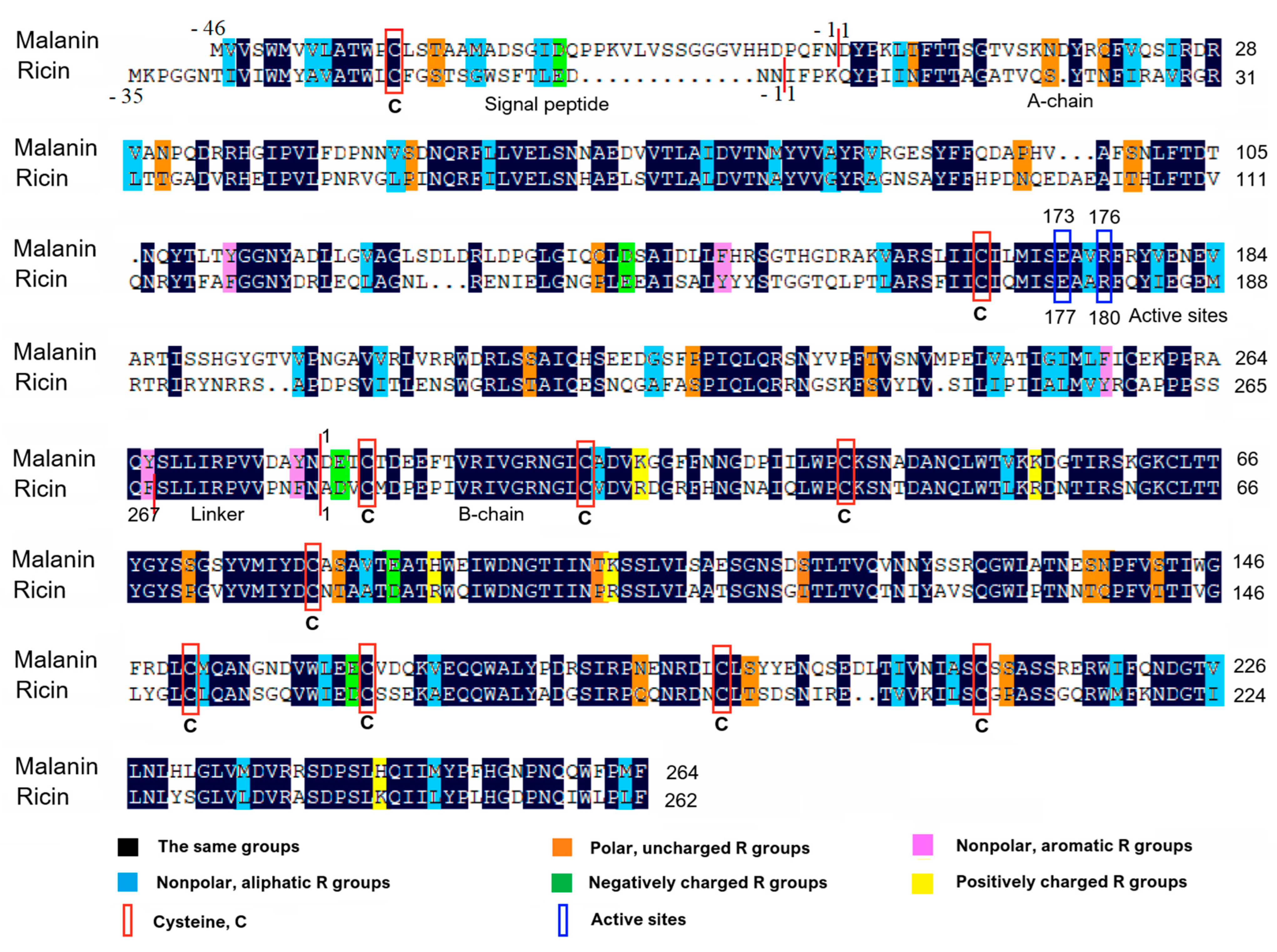 Toxins 16 00440 g001