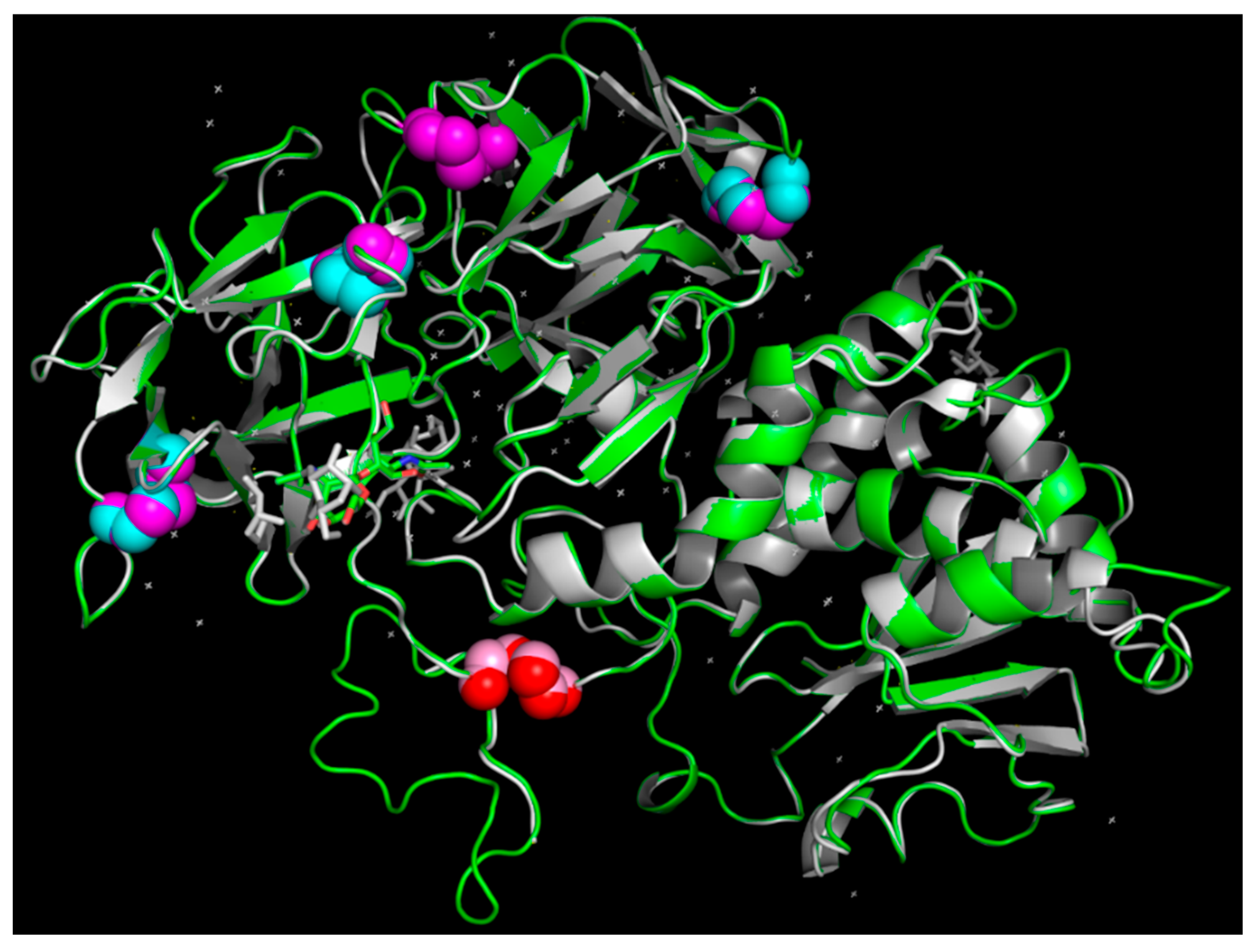 Toxins 16 00440 g004