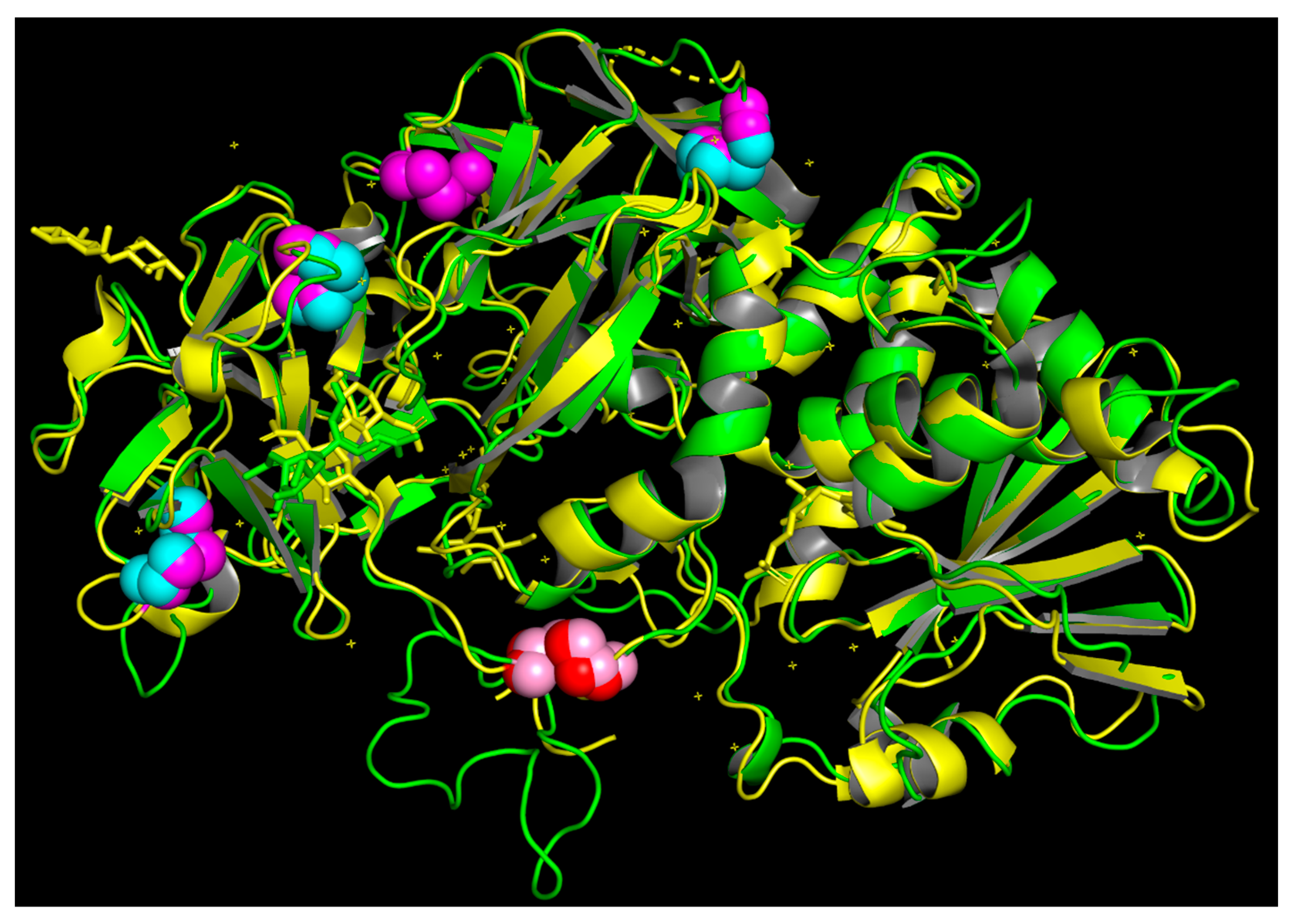 Toxins 16 00440 g006