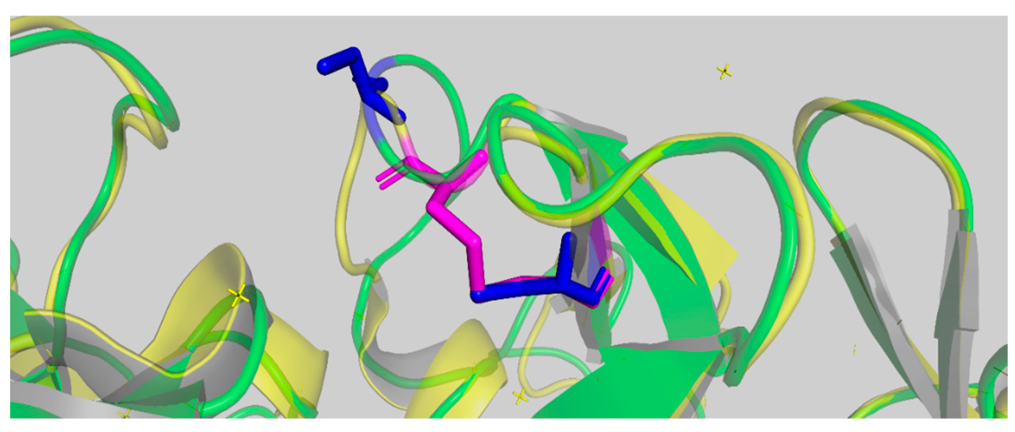 Toxins 16 00440 g007