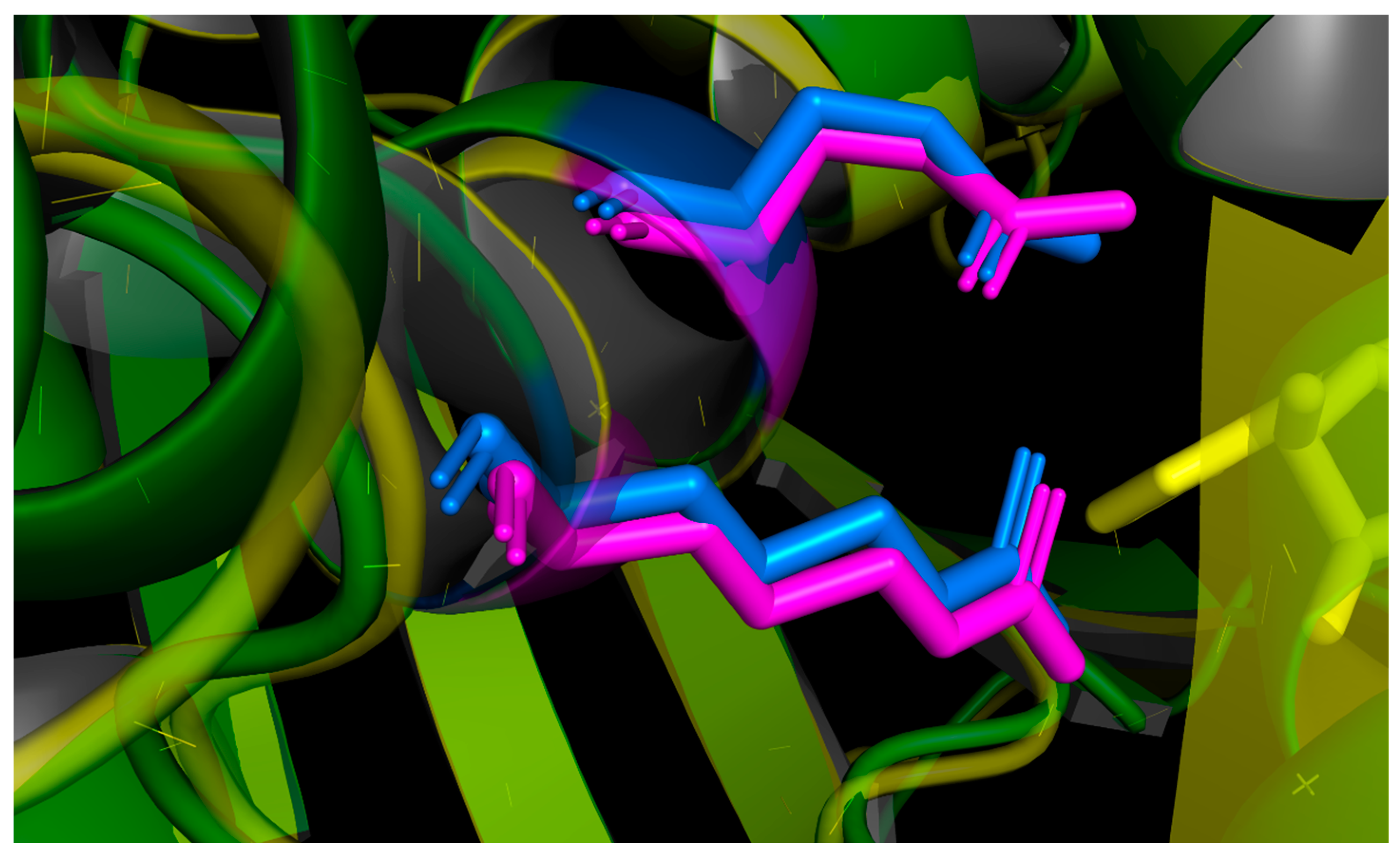 Toxins 16 00440 g008
