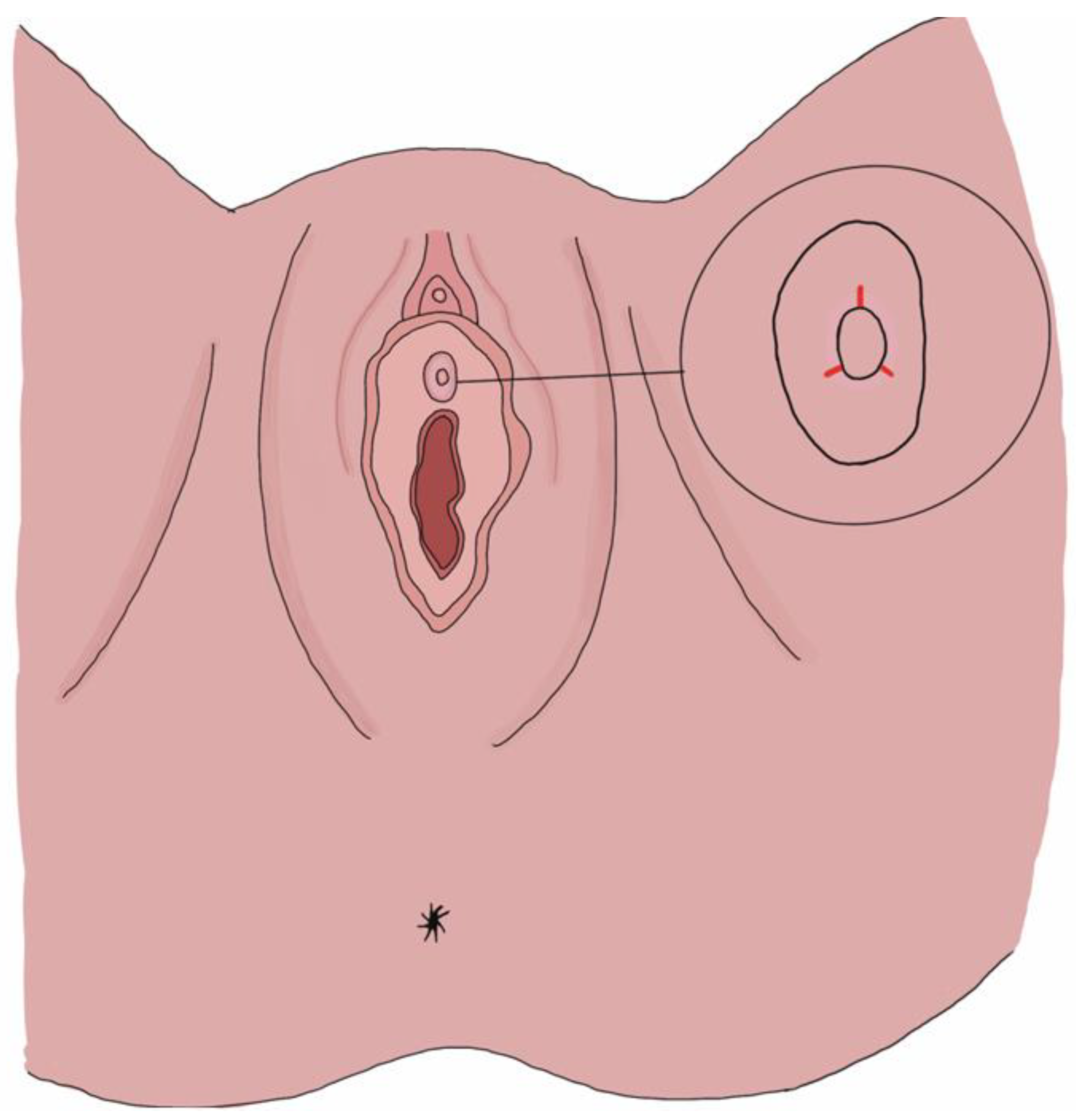Toxins 16 00441 g002
