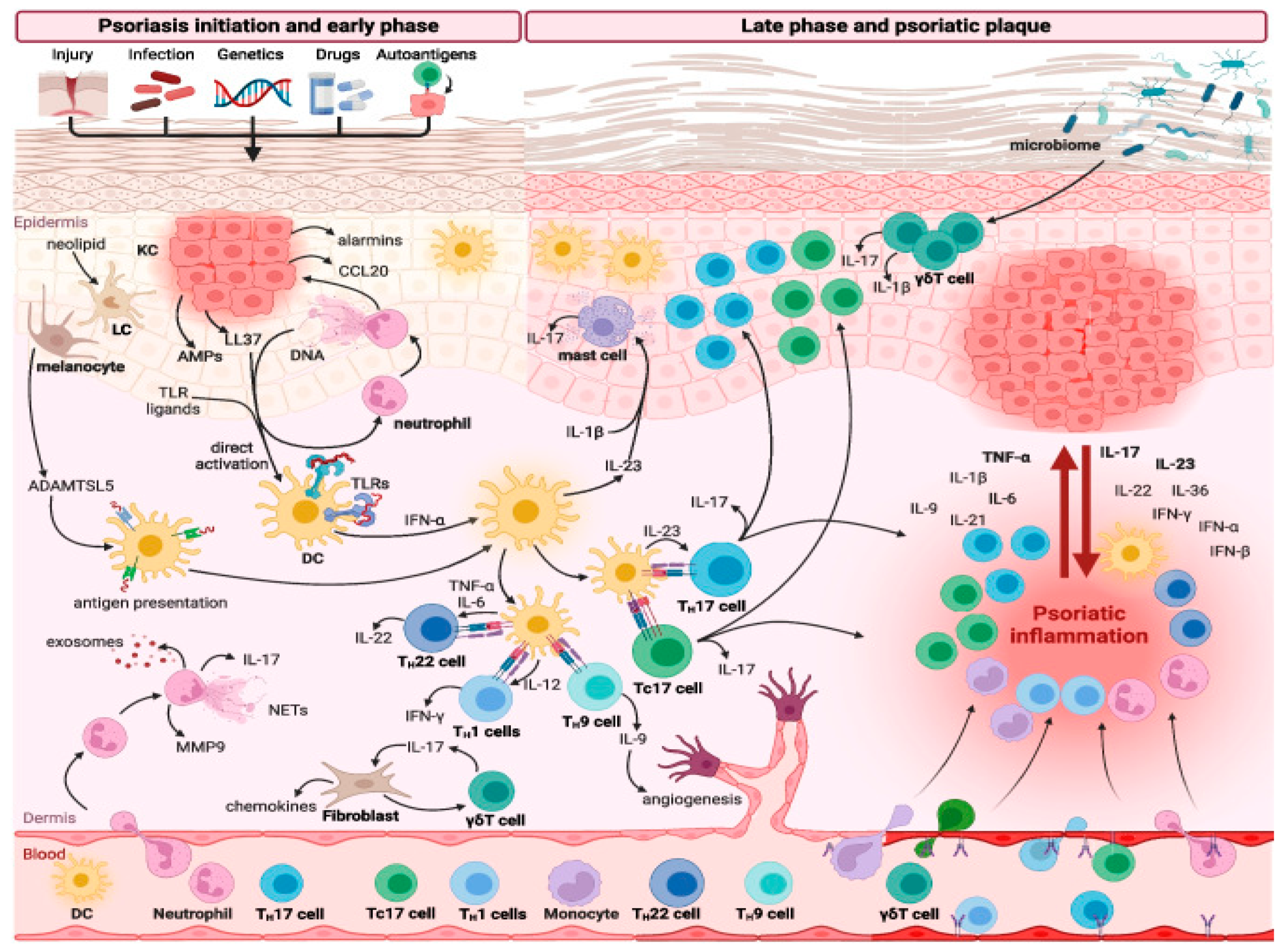 Toxins 16 00449 g001