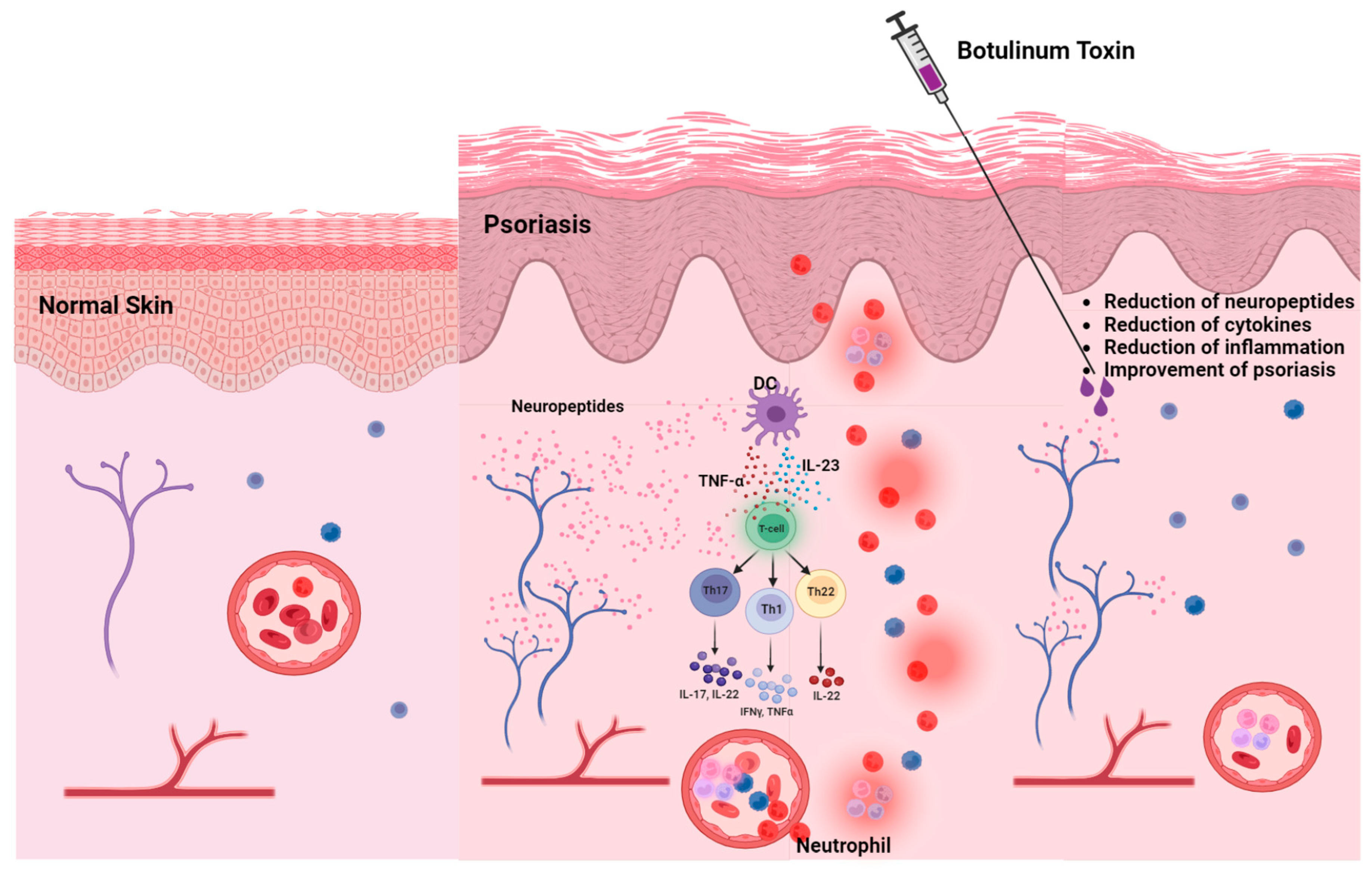 Toxins 16 00449 g003