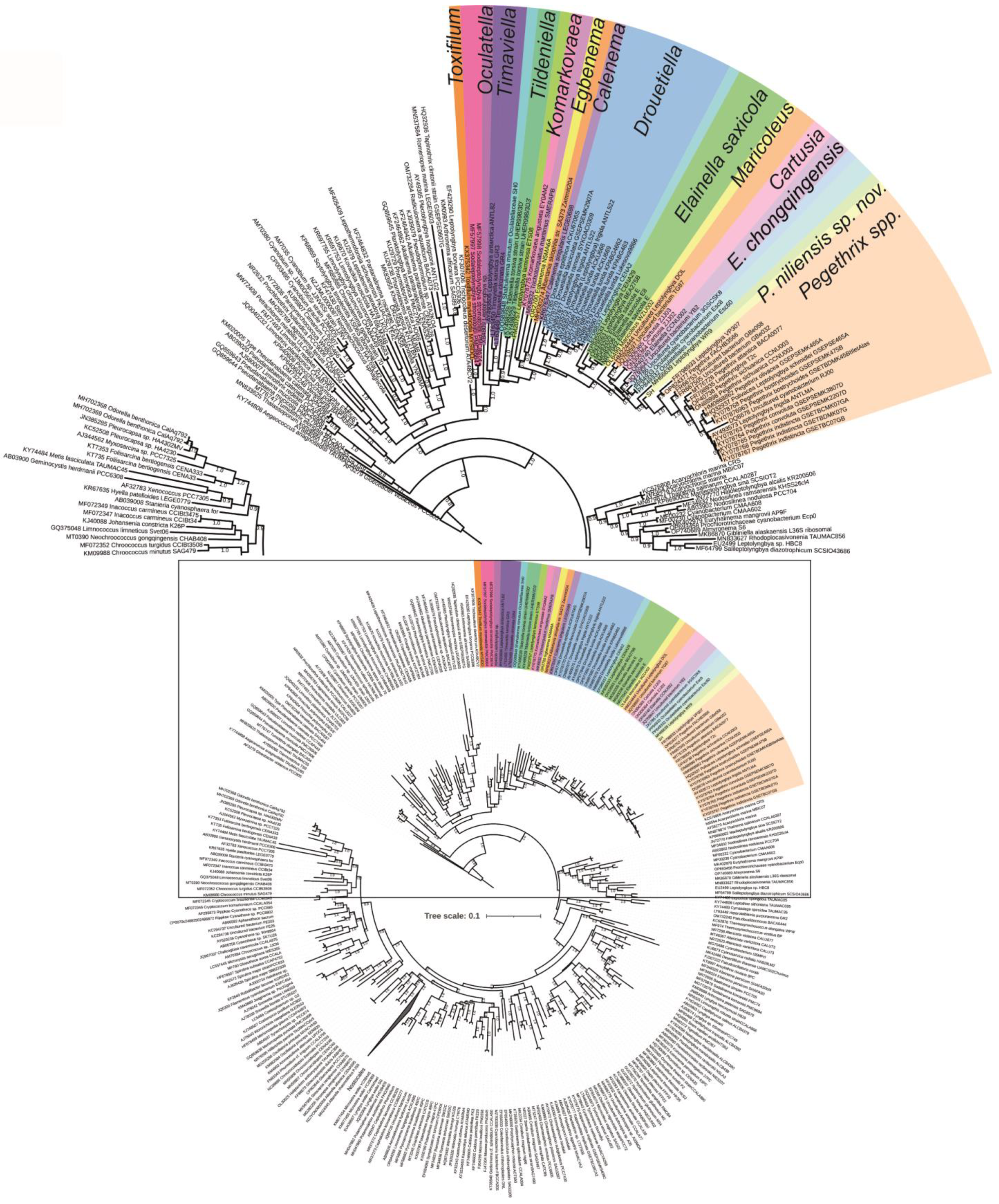 Toxins 16 00451 g002