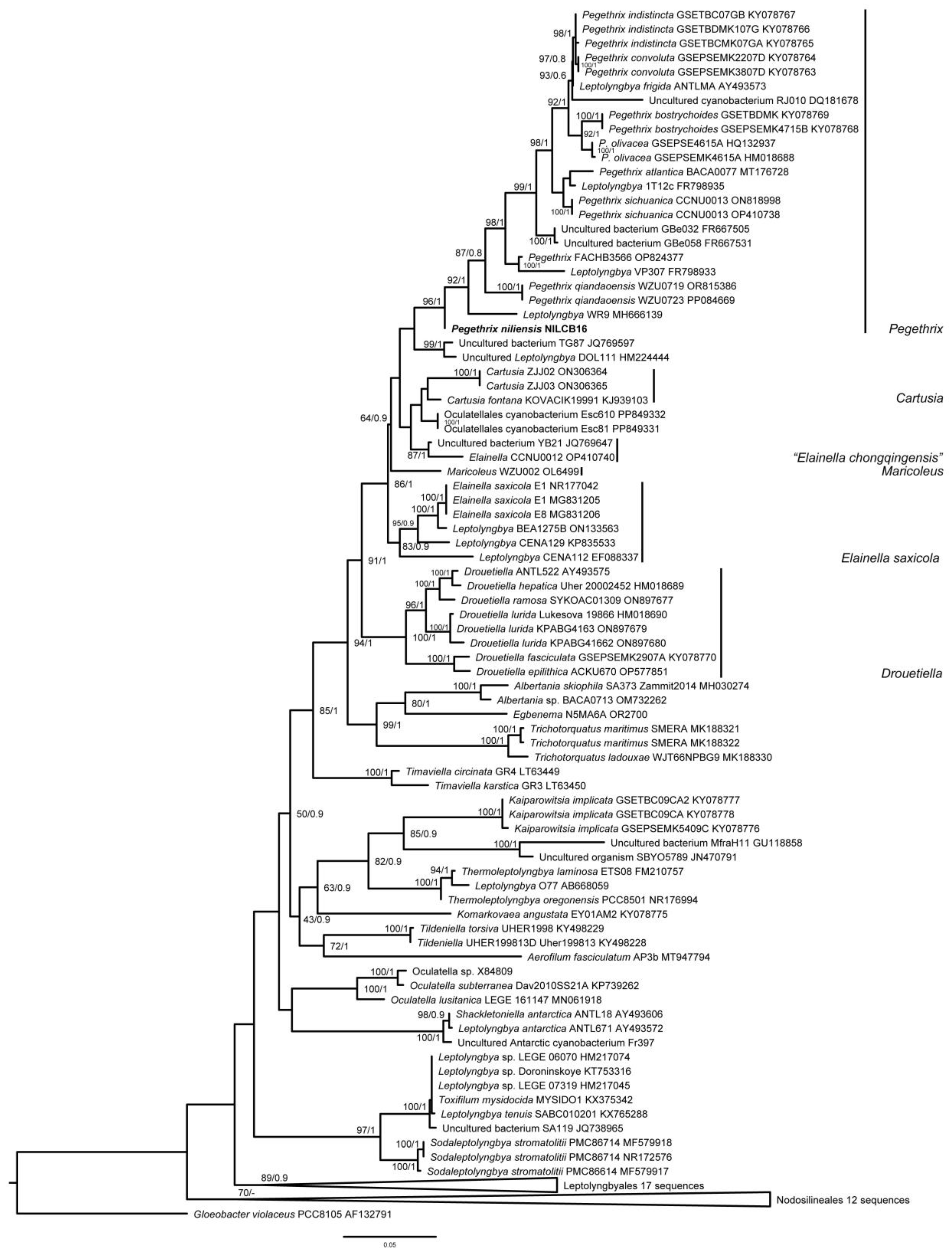 Toxins 16 00451 g003