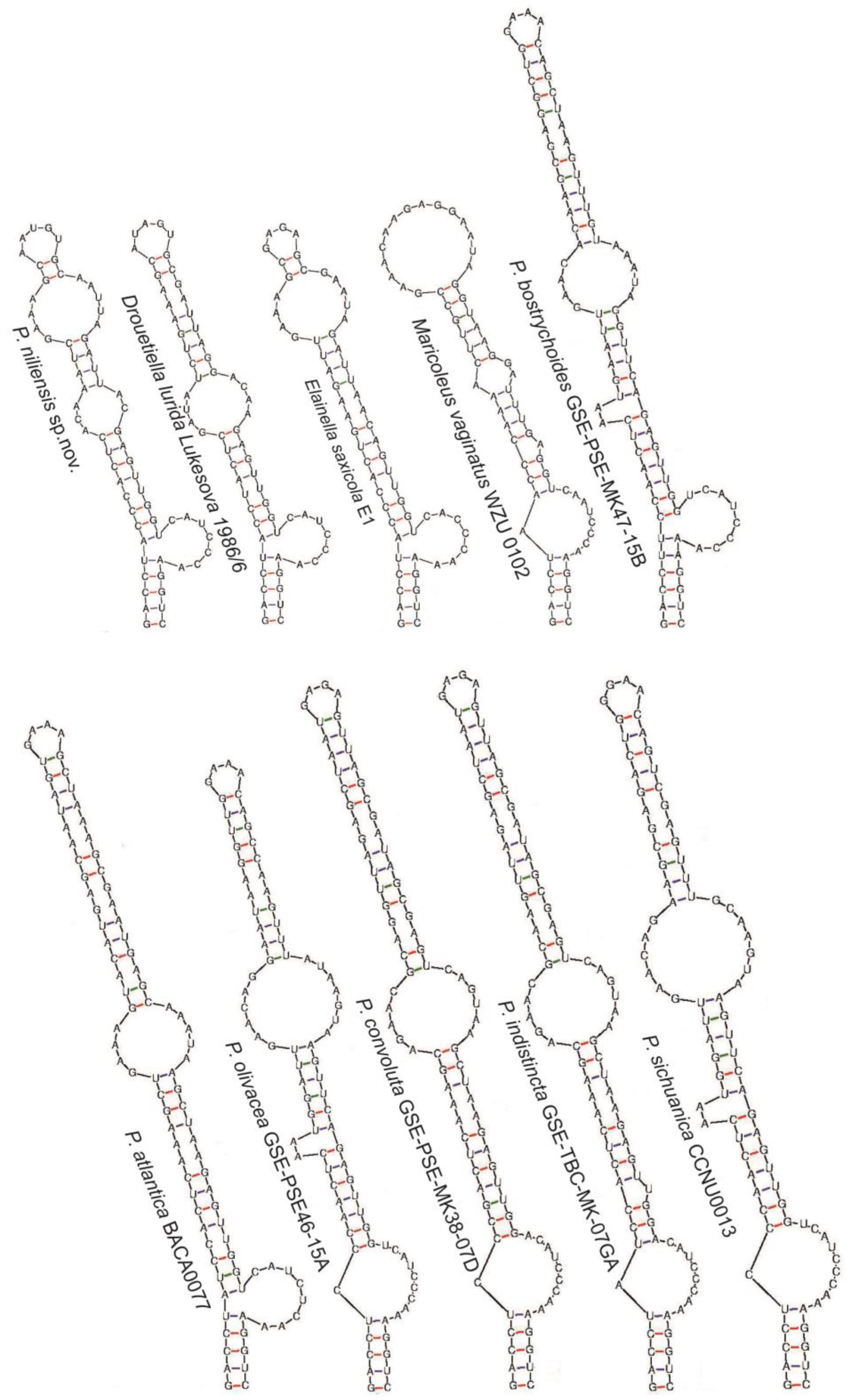 Toxins 16 00451 g004