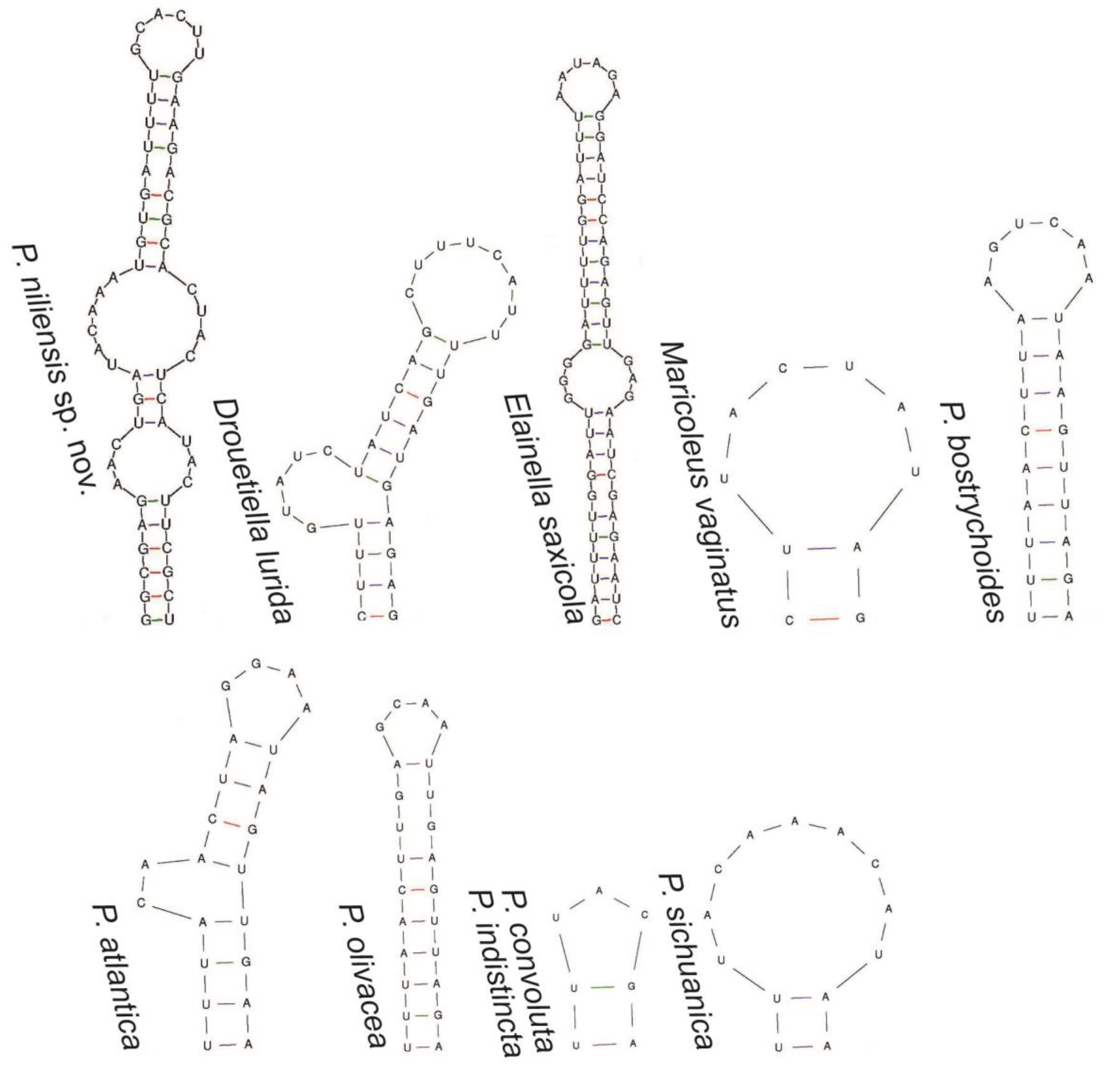 Toxins 16 00451 g005